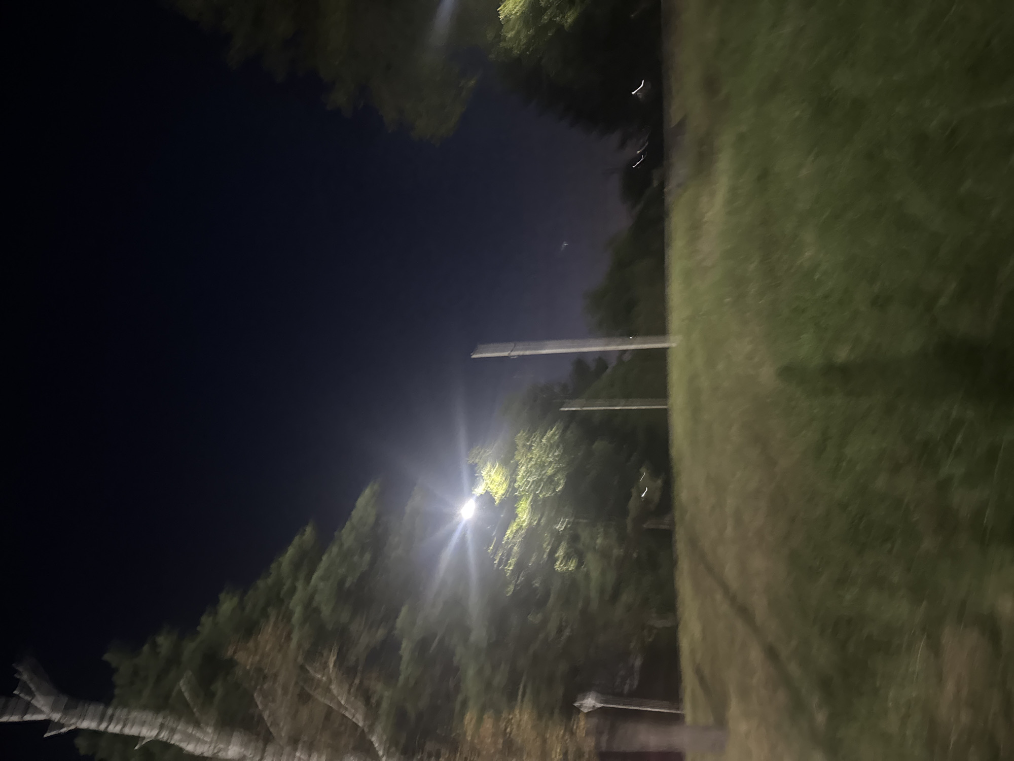 The image captures a nighttime scene in Yessentuki, Russia. A street light illuminates a grassy area with trees in the background, casting a bright glow that creates a starburst effect. A tall, slender pole stands in the middle ground, and a blurry, pale object resembling a fence post is visible to the left. The overall impression is one of a quiet, perhaps rural or park-like setting within the city, with artificial lighting piercing the darkness. The image appears to have been taken from a moving vehicle, as indicated by the motion blur present in the foreground grass and trees.