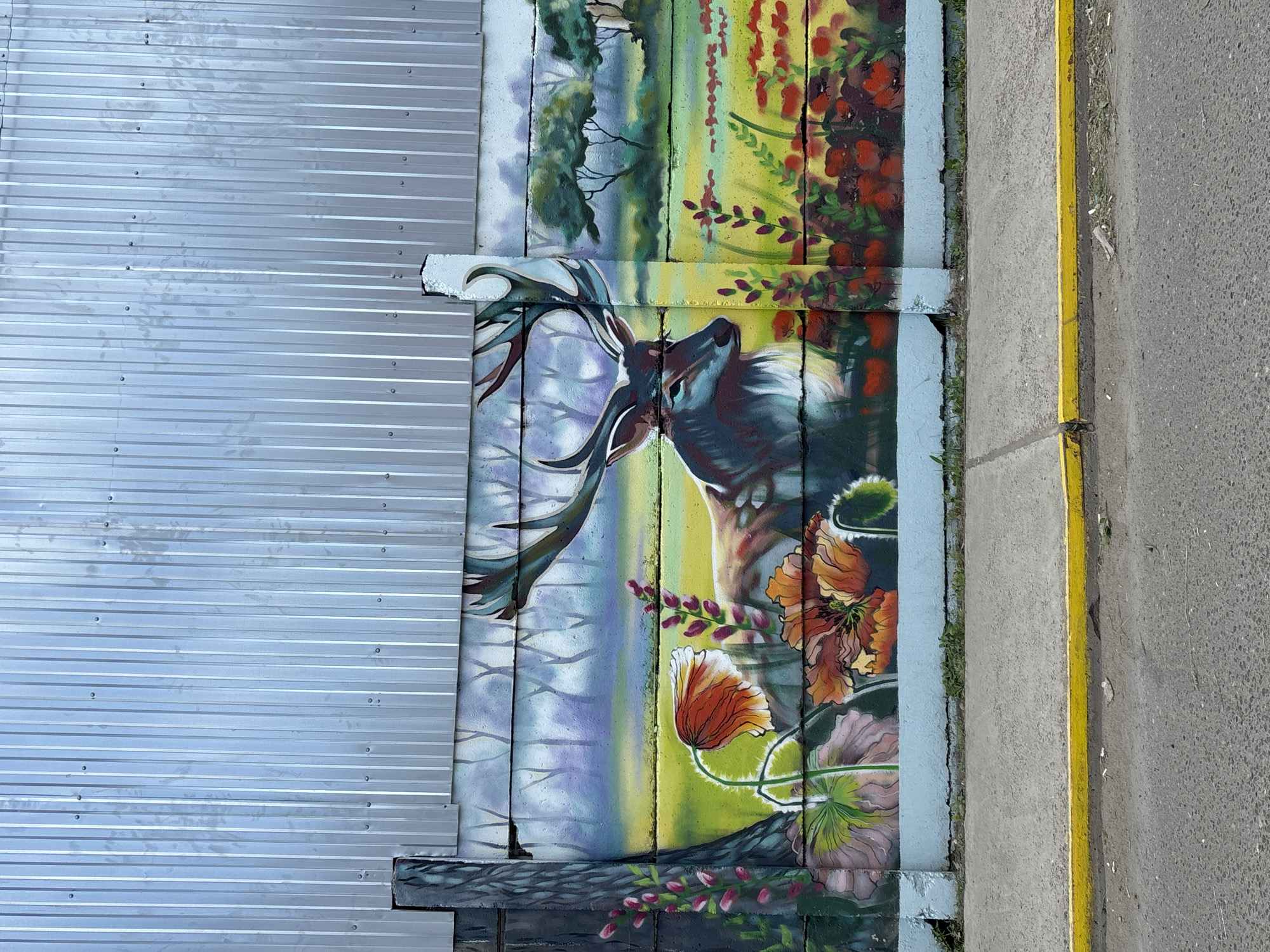 The image captures a mural painted on a wooden structure, likely a fence or side of a building. The mural depicts a deer with antlers in a forest-like setting with colorful flowers. The painting style appears to be a mix of realism and impressionism. To the left of the mural is a corrugated metal wall. Adjacent to the mural on the right is a concrete curb with a painted yellow line, next to a paved road surface. The photograph is taken from a slightly elevated position and has been rotated counterclockwise. This mural is likely located in the city of Chaikovsky, Russia.