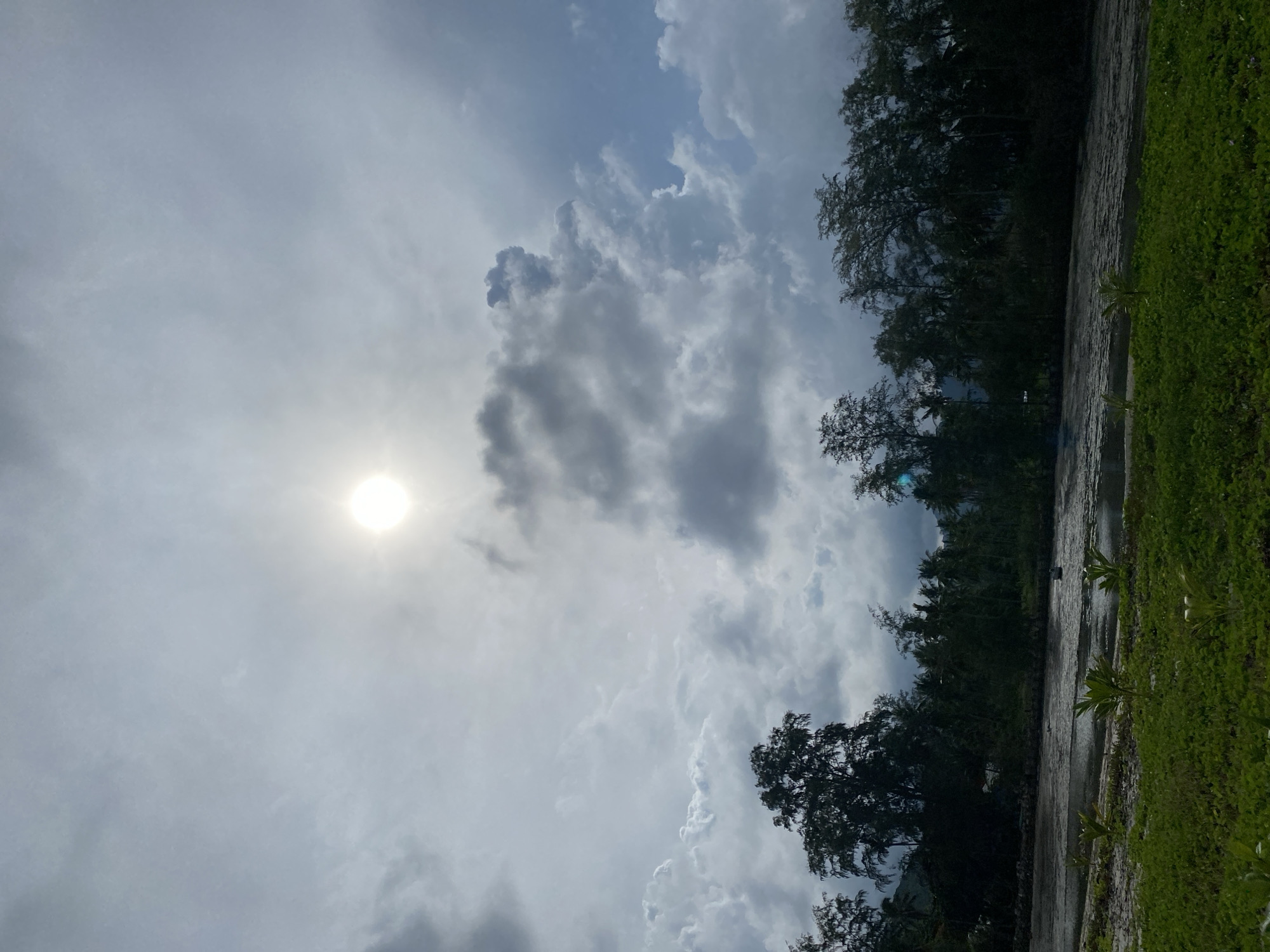 This is a photograph taken from ground level, facing the sky. The sun is visible in the upper center of the image, a bright, diffused orb against a backdrop of dramatic, textured clouds. The clouds range from bright white and fluffy to dark gray and heavy, creating a sense of depth and movement in the sky. In the lower portion of the image, a dark line of trees, likely tropical vegetation given the potential location, stretches across the frame, silhouetted against the sky. In front of the trees, there appears to be a body of water, possibly a river or the sea, with a slightly reflective surface. The foreground is dominated by lush green grass and small, leafy plants. The overall impression is of a natural landscape, potentially a coastal area or riverside, under a dynamic sky. The scene is devoid of any people or specific identifiable man-made structures beyond what might be implied by the presence of water.