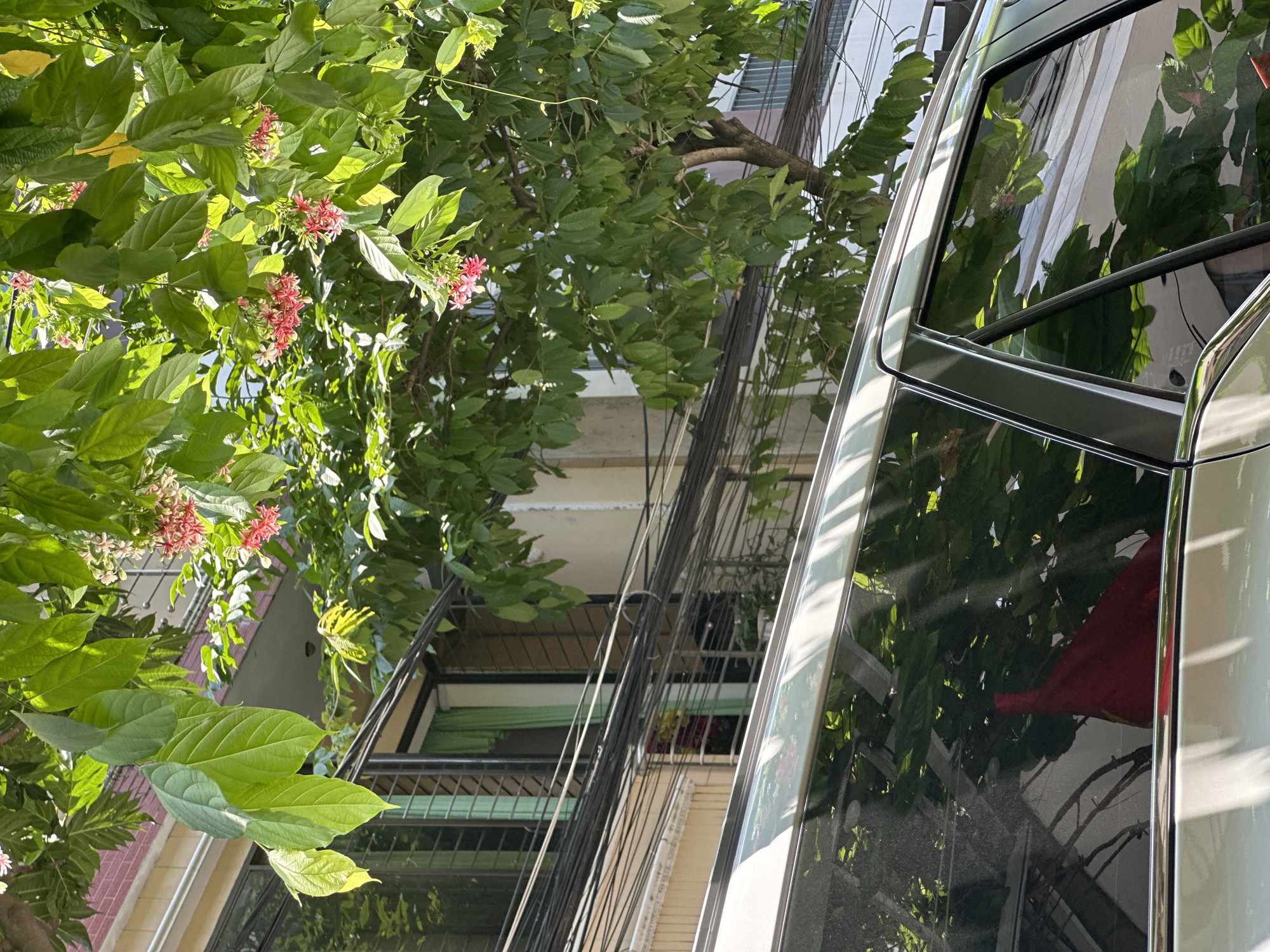An upward angle shot reveals a multi-story building with security bars on the balconies in Đà Nẵng, Vietnam. Overgrown foliage with pink blossoms obscures the façade on the left. Numerous power lines run across the building’s front. The right side of the frame is dominated by a car’s exterior, reflecting the surrounding foliage and obscuring further details of the environment.