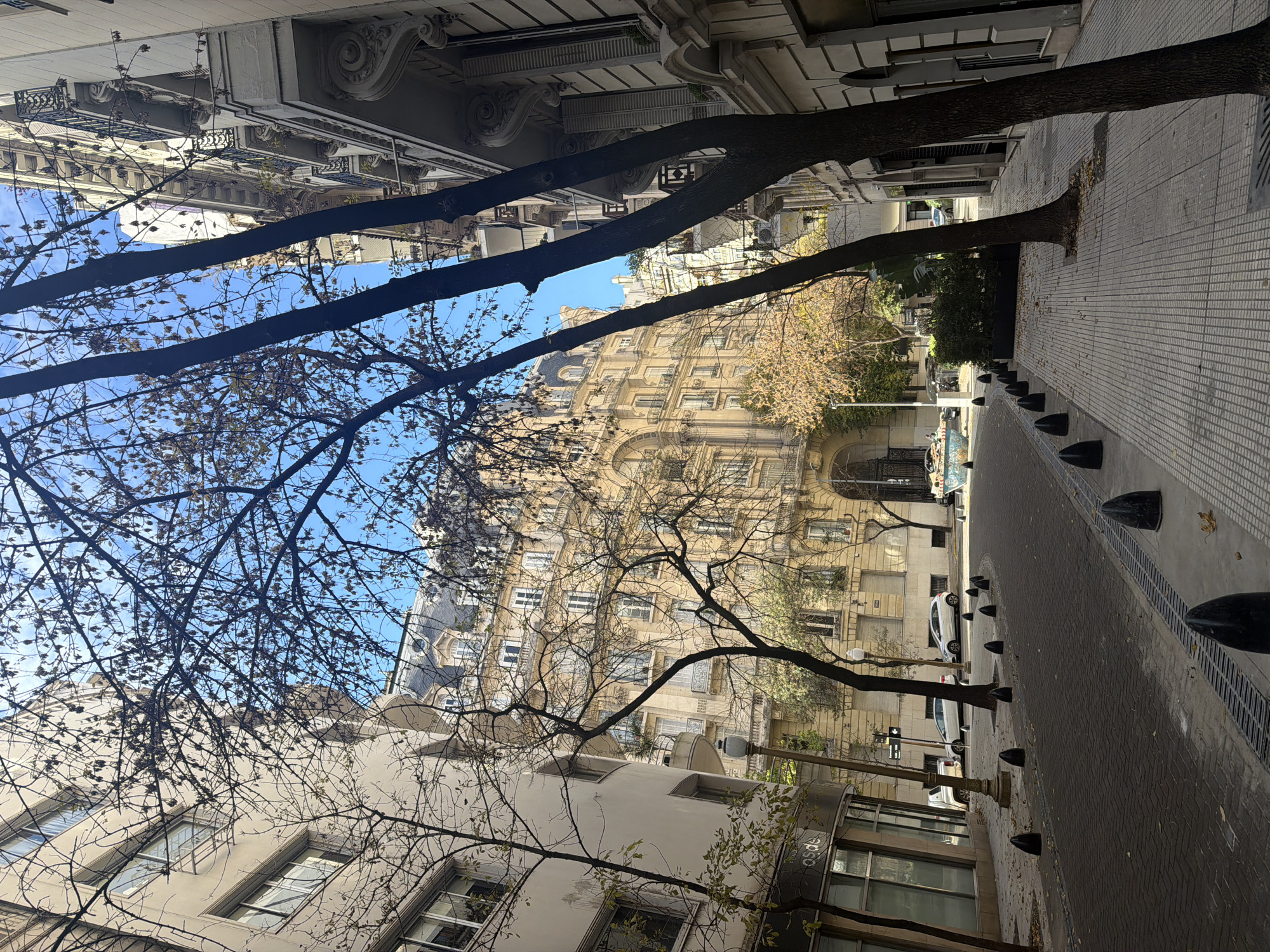 A street view in Buenos Aires, Argentina, showcases architecture framed by tree branches. The perspective is angled, showing buildings on both sides of the street. A large, ornate building stands at the end of the street. The sidewalk is lined with bollards, and parked cars are visible. The sky is blue and branches reach toward it.