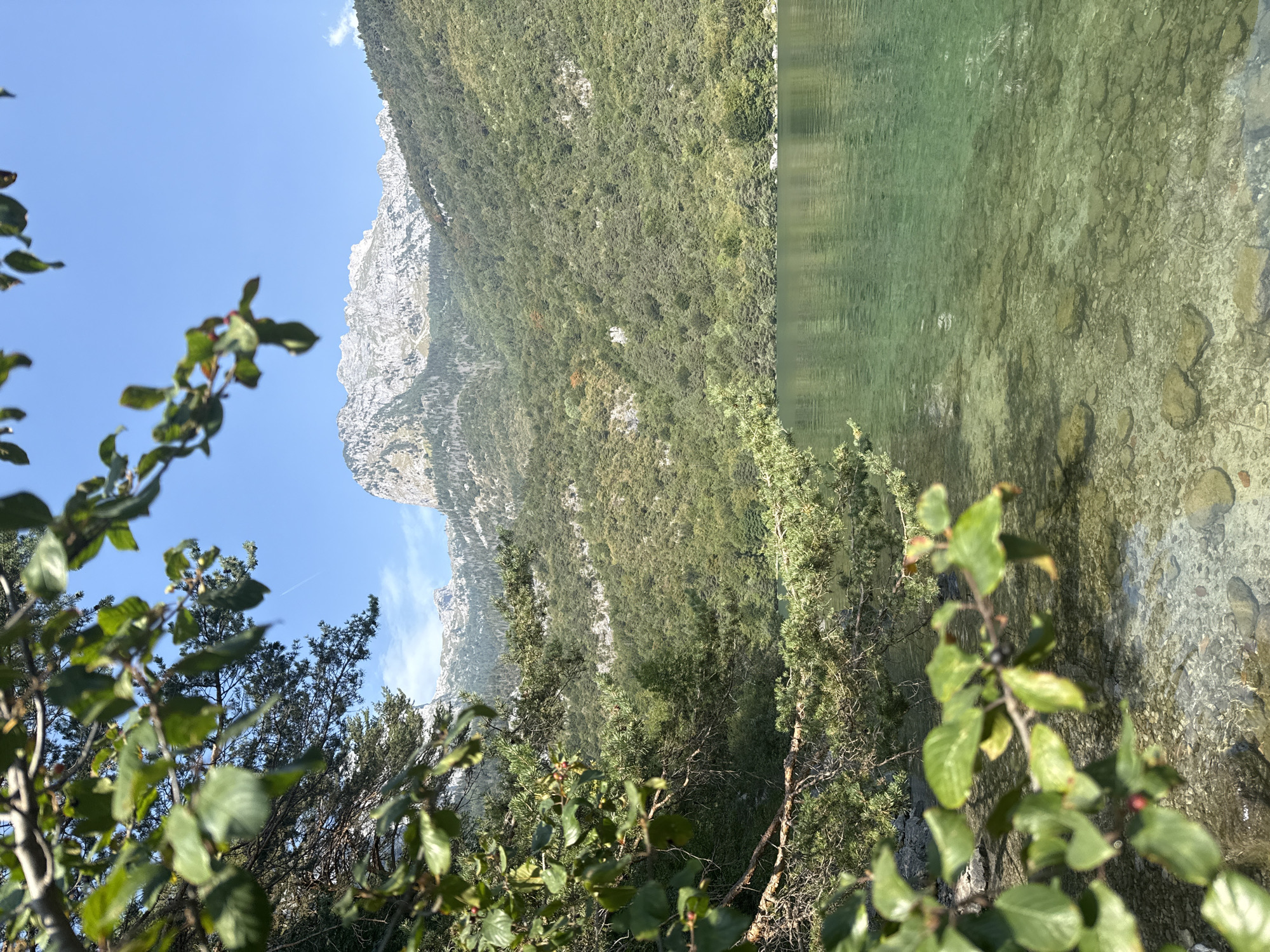 The image shows a tranquil mountain lake on a clear day. In the foreground, branches with green leaves and some berries overhang the crystal-clear water, revealing the rocky bottom beneath the surface. The lake's surface reflects the surrounding landscape. Beyond the lake, a lush, green mountainside rises, densely covered with trees. At the summit, rugged, rocky peaks pierce the bright blue sky, which has a faint contrail visible. The location appears to be a natural, undeveloped area, likely in a mountainous region of Italy, given the architectural style of a small building visible on the mountainside. There are no people or animals present in the scene.