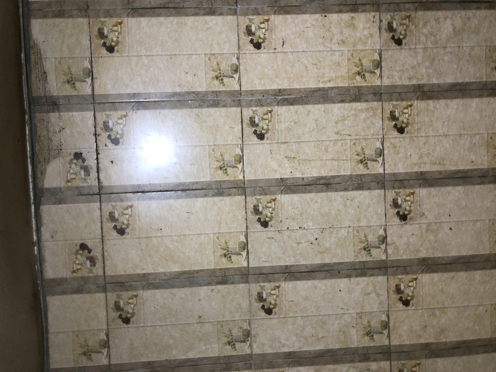 The image shows a close-up, eye-level view of a tiled wall, likely in a kitchen or bathroom. The tiles are a light beige color with a subtle marbled pattern, and they are arranged vertically. There are vertical grout lines between the tiles, and also wider, darker gray vertical strips that appear to be decorative or structural elements separating columns of tiles.
Each tile features a decorative image. The images alternate between two designs: one depicts a vase with flowers and two green apples on a plate, and the other shows a bowl of fruit, including grapes, apples, and pears. The images are not perfectly aligned and some appear slightly faded or worn.
The wall appears to be dirty, with visible smudges, marks, and what looks like grime, particularly along the top edge and in the grout lines. There is a bright light source in the upper middle portion of the image, casting a glare on the tiles.
The image is taken indoors. Based on the visible details, such as the tiling and the nature of the decorative images, it is plausible that this is a domestic setting. Without additional context, it is impossible to determine the exact location within Kabong, Nigeria.
