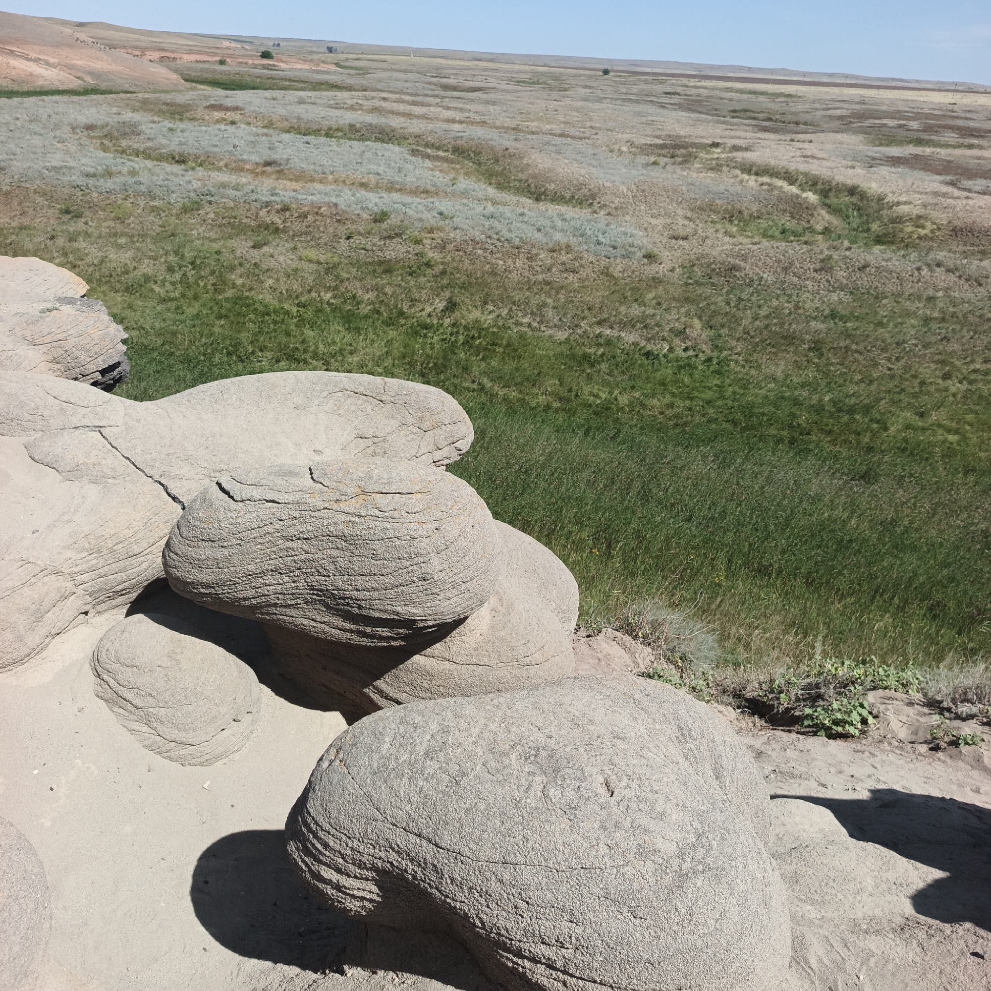 The image depicts a landscape scene with large, weathered rock formations in the foreground. The rocks are light brown and appear to be composed of sedimentary material with visible layering and erosion patterns. They are scattered on sandy ground. Behind the rocks, a green grassy area descends into a valley, which is further back filled with dry, sparse vegetation and undulating terrain stretching to the horizon. The sky is clear and blue. The scene is a natural outdoor environment.