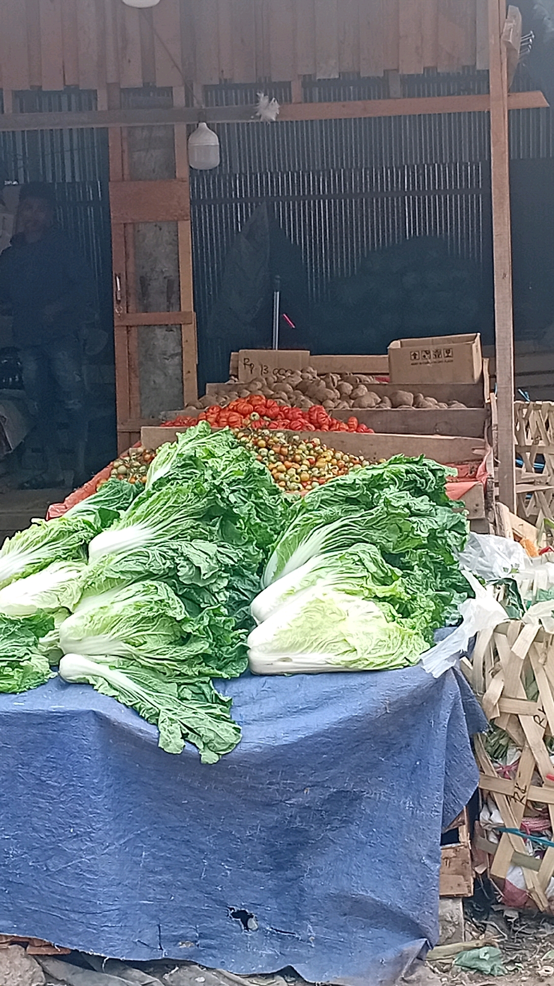 A market stall in Jambi, Indonesia, displays a large pile of fresh Napa cabbage in the foreground, resting on a blue tarp. Behind the cabbage, several crates are stacked, filled with tomatoes and other produce, possibly potatoes. The stall is covered by a wooden structure with a corrugated metal roof. A person in a dark jacket is partially visible on the left side of the image, near an entrance. The environment appears to be an outdoor market setting, with the ground covered in debris.