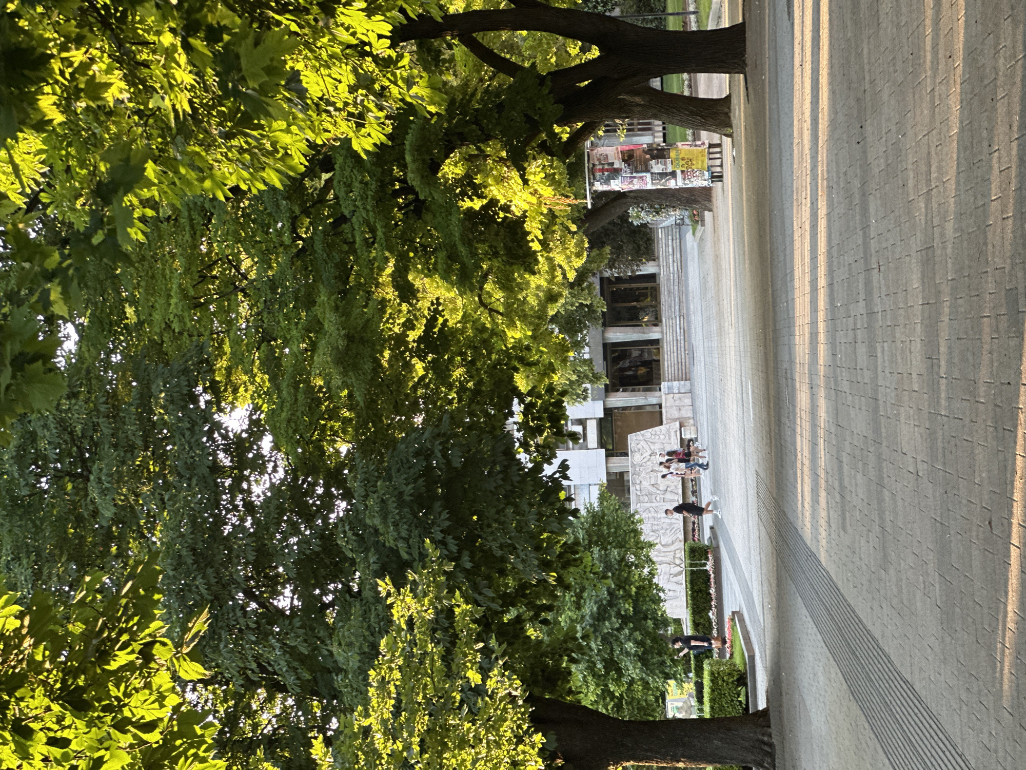 The image depicts a sun-drenched plaza in front of a modern building, likely an institution, located in Pleven, Bulgaria. The foreground is dominated by a paved walkway with a tactile paving strip, indicating a public space designed for pedestrian use. Lush green trees, illuminated by the warm glow of the sun, cast long shadows across the plaza, creating a dappled effect. Several individuals are visible in the midground, engaged in various activities such as walking and posing for photographs. The building behind them features a prominent staircase leading to its entrance, and a large bas-relief artwork adorns its facade. A cylindrical kiosk covered in posters stands to the right, further contributing to the urban atmosphere of the scene. The overall impression is one of a vibrant public space enjoying the pleasant conditions of a sunny day.