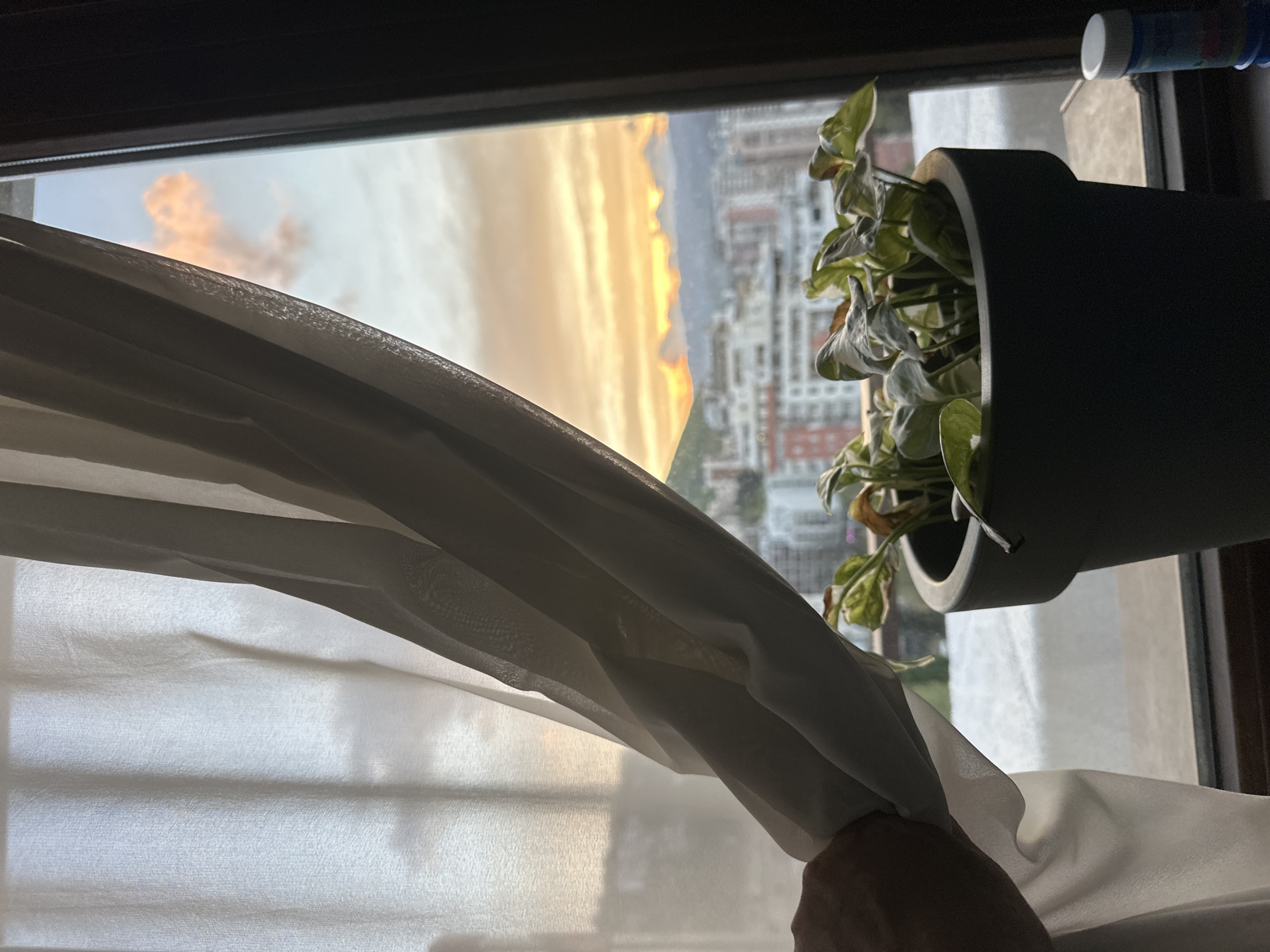 The image presents a view from inside a room, looking out through a window during the golden hour or sunset. A light-colored curtain, pulled back by a human hand visible in the bottom right, occupies a significant portion of the foreground, revealing the world outside. On the right side of the window, a houseplant with green leaves, some showing signs of browning or variegation, sits in a dark, possibly grey or black, pot on the windowsill. Above the plant, resting on the dark window frame, is a small bottle with a white cap and a blue body.
Beyond the window, a sprawling urban landscape featuring numerous buildings stretches into the distance. The sky above the city is illuminated by the setting sun, displaying warm hues of orange and yellow along the horizon, transitioning into lighter blues and greys higher up. Scattered clouds, also touched by the sun's warm light, are visible. Mountains or hills form the backdrop to the cityscape, bathed in the soft, horizontal light. The scene suggests a person is opening the curtain to take in the evening view, which aligns with the urban and mountainous topography of Tbilisi, Georgia. No discernible text is visible in the image.