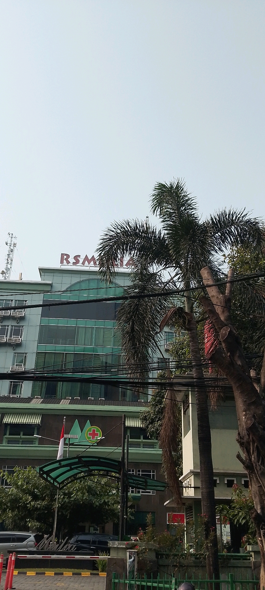 The image captures the facade of a hospital, identified as RSM in Depok, Indonesia, under a clear sky. The building exhibits a modern architectural style with a glass-paneled upper section and a green-colored lower section. The rooftop of the building is adorned with red lettering spelling out "RSM". Adjacent to the building, a tall palm tree with fronds extends into the frame, its trunk partially obscured by a larger tree. Wires are strung across the foreground, crossing in front of the building and the palm tree. The lower part of the building features an entrance awning with a green, translucent roof, and a red and white Indonesian flag is visible. A green circular logo with a red cross is prominently displayed on the building. The area appears to be a public space with a paved road and a sidewalk. Vehicles are parked on the left side of the image. The overall scene depicts a typical urban environment in Depok.