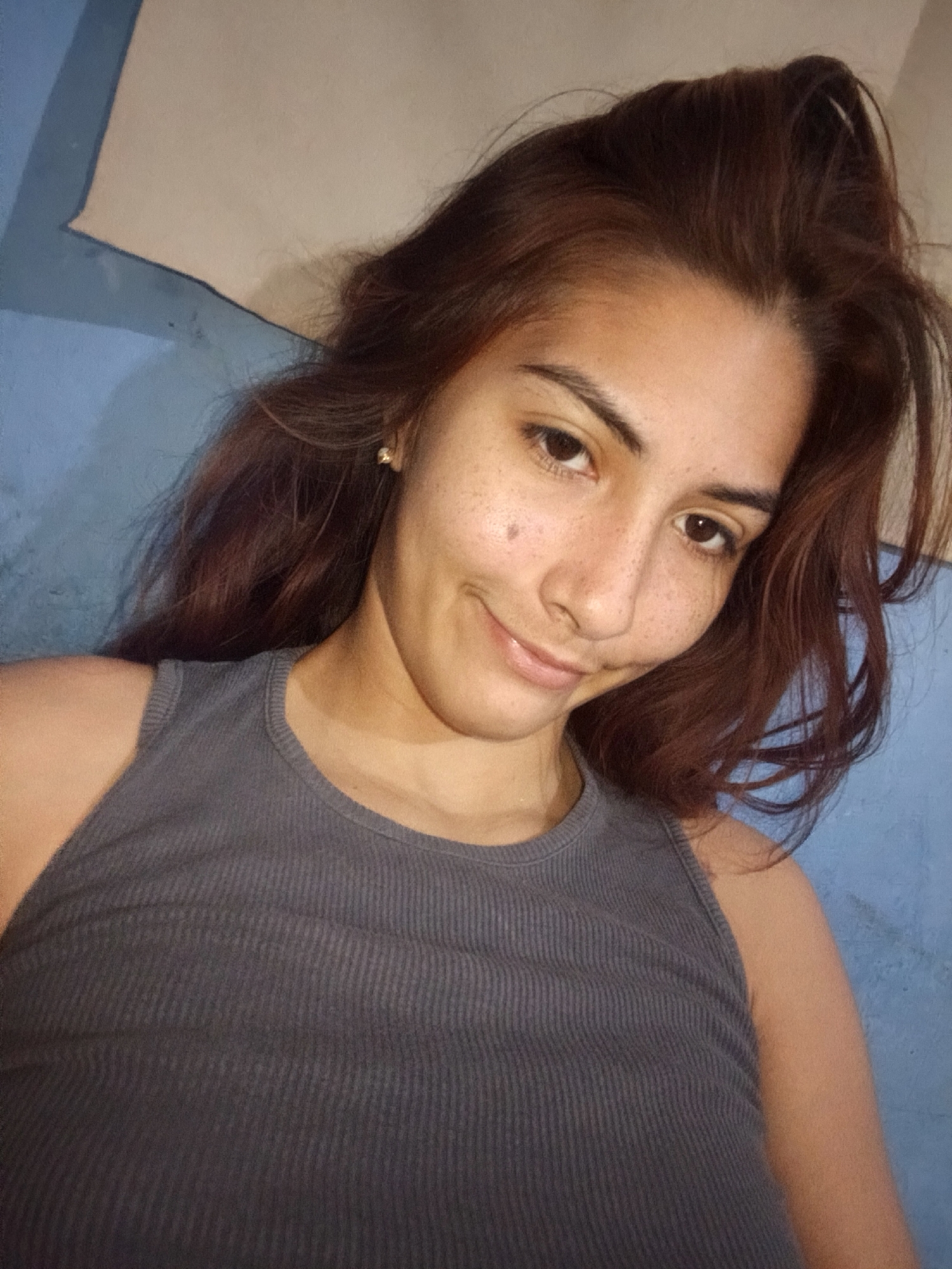A woman with reddish-brown hair is pictured indoors against a blue wall with a slightly visible white object in the upper left corner. She is wearing a gray tank top. She has freckles on her face and is smiling subtly.