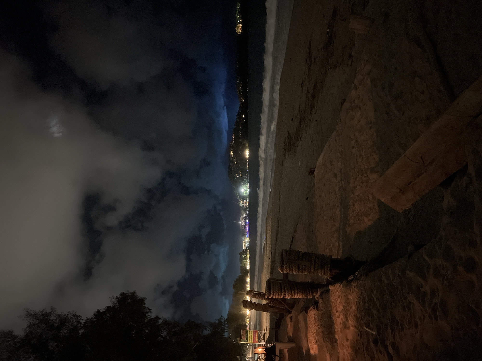 The image depicts a nighttime scene at a beach, possibly in an urban setting. The sky is cloudy and dark. A string of lights illuminates the coastline, suggesting a city or town nearby. Waves are visible along the shoreline. In the foreground, there are what appear to be weathered wooden posts or structures, potentially part of a pier or coastal construction. Vegetation is visible in the lower left corner, with trees silhouetted against the night sky. The scene is lit dimly, with most details obscured in shadow.