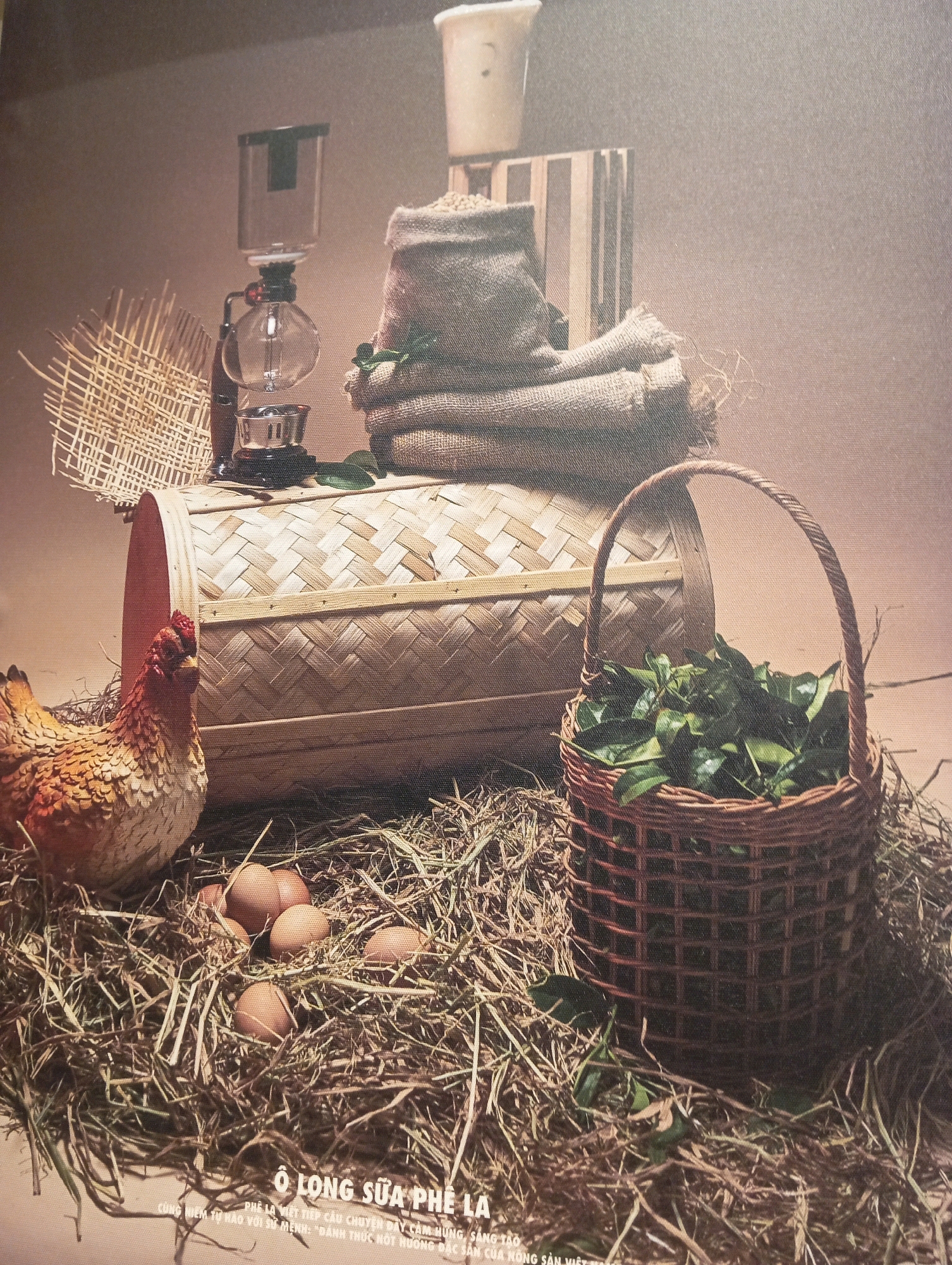 A still life scene is depicted, set against a plain, neutral background. In the foreground, a brown woven basket overflows with fresh green leaves. To the left of the basket, a decorative ceramic hen sits amidst a bed of straw. Several brown eggs are scattered in the straw near the hen. Behind the hen, a large, cylindrical, woven bamboo container is positioned horizontally. To the left of the bamboo container, a sieve-like woven straw object is visible. Further back and to the left, a vintage coffee siphon machine with glass components and a metal base is present. Stacked behind the coffee machine are several burlap sacks, one of which is partially open, revealing its contents. On top of the sacks, a white cup is placed. The bottom of the image features text in Vietnamese, part of which reads "O LONG SUA PHE LA" and "PHE LA VIET CAU CHUYEN DAT CAM HUNG, SANG TAO CONG NGHIEP TU HAO VOI DI MINH, THANH THUC MOT HUONG DAC SAM CUA NONG SAN VIET NAM." This text translates to "Oolong Milk Tea La: Tea La is a story of inspiration, creativity, proud industry, a pure flavor of Vietnamese agricultural products." The image does not provide specific information about the city of Nha Trang, Vietnam, other than the reference to Vietnamese agricultural products in the text.