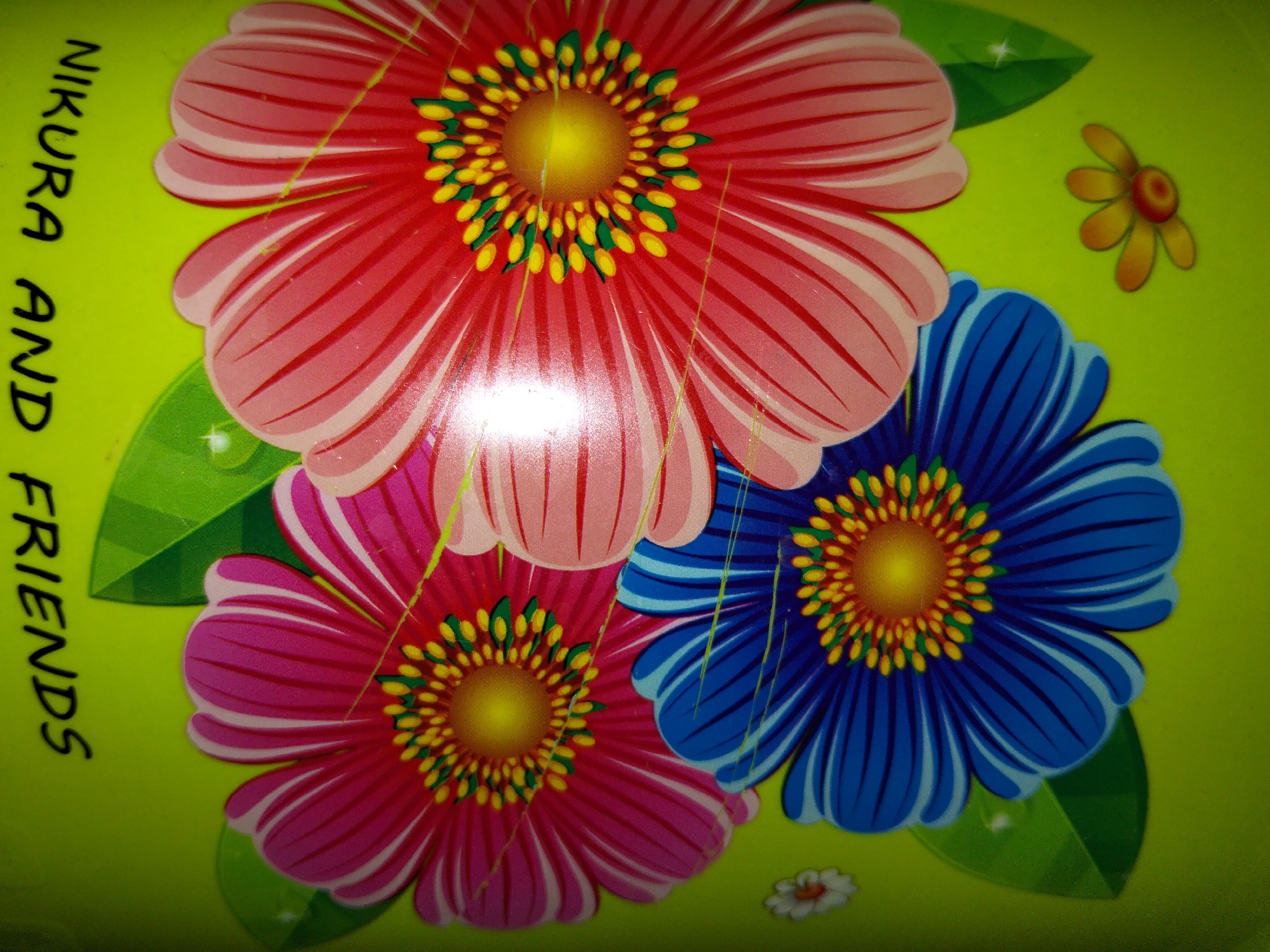 The image shows a bright green surface with three large, stylized daisy-like flowers and two smaller flowers. The flowers are vibrant, with petals in shades of red, pink, and blue. The centers of the large flowers are yellow with yellow and green accents. The surface also has some text in black, oriented vertically along the left edge, which reads "NIKURA AND FRIENDS". There are also green leaves depicted behind two of the large flowers. The overall impression is of a decorative item, possibly a placemat or a container lid. The image does not contain any information that would allow for its location to be identified in the city of Payagaboh, Indonesia.