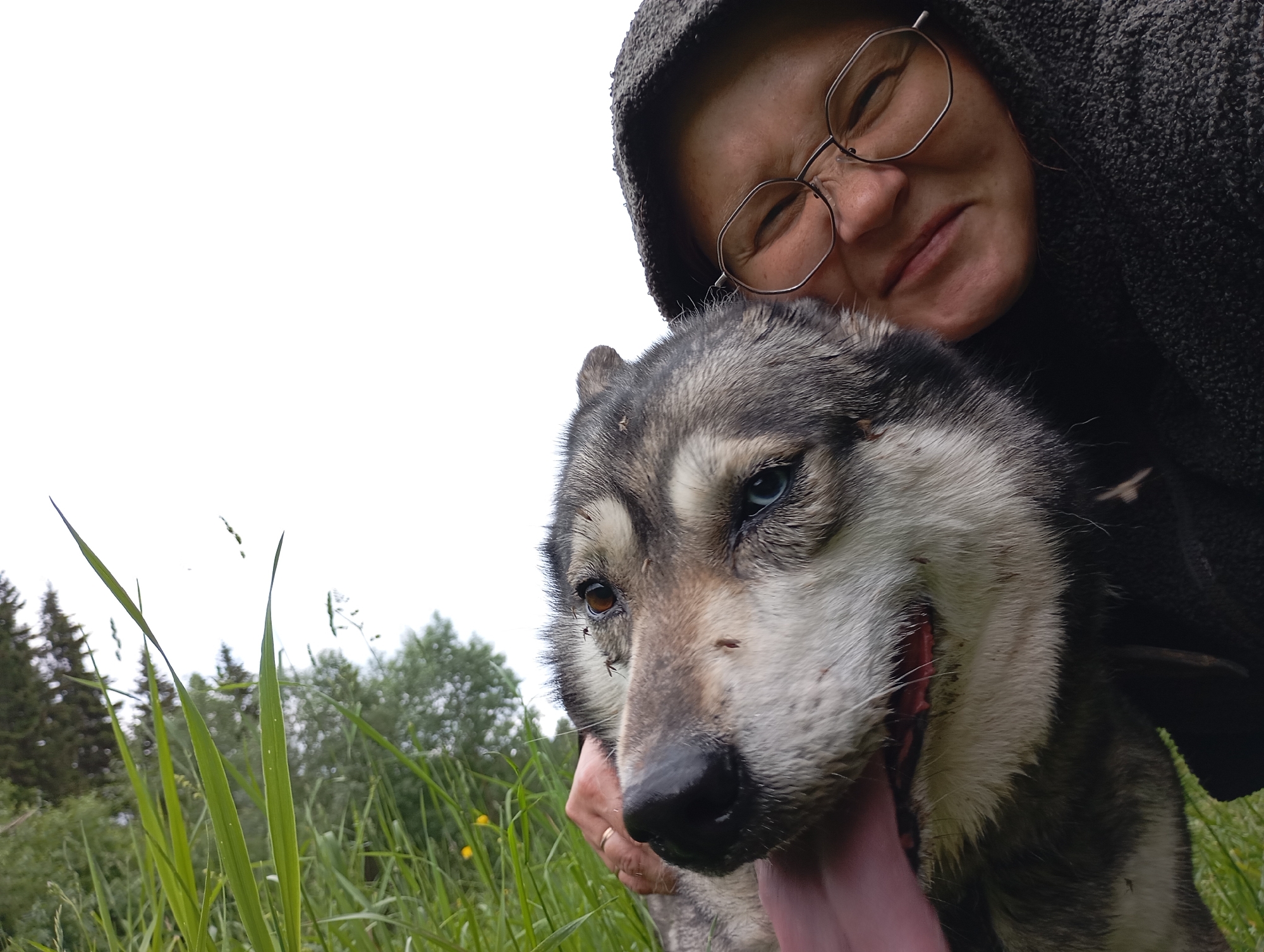 The image is a selfie taken outdoors, likely in a grassy area with trees in the background. In the foreground, a person wearing a hooded jacket and glasses is close to the camera, smiling and leaning in. Partially obscuring the person's face is the head of a husky dog, which is looking directly at the camera. The dog has heterochromia, with one blue eye and one brown eye. The dog's tongue is hanging out, and its fur appears somewhat dirty. The background shows lush green grass, some yellow flowers, and a line of trees. The sky is overcast and white. The specific location in the city of Фоки, Russia is not identifiable from the image itself, but the natural setting suggests a rural or park-like environment.