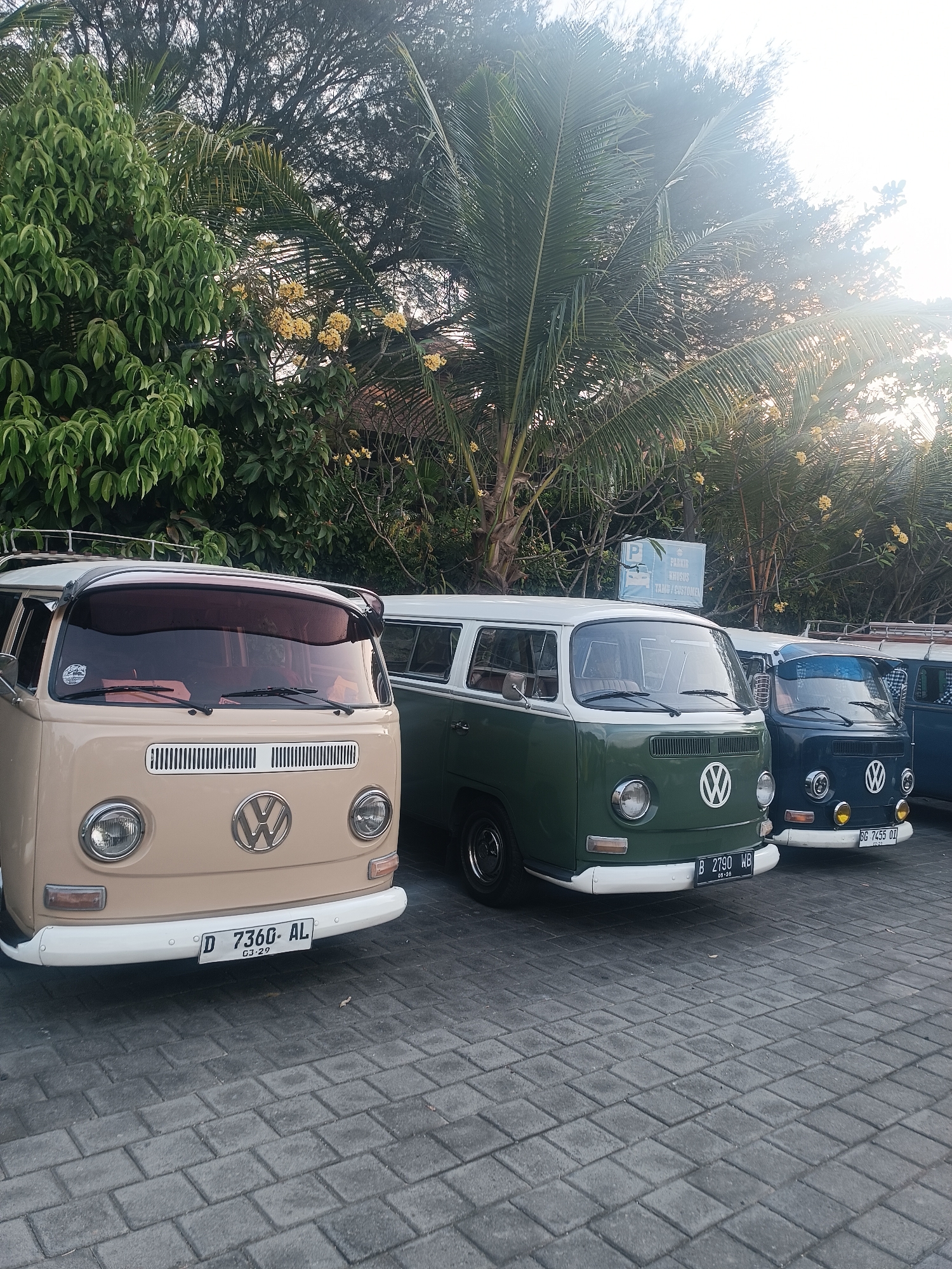 A line of vintage Volkswagen Type 2 vans is parked on a paved surface in front of lush green trees and palm fronds. The sun is setting, casting a warm glow and lens flare across the scene. The vans are beige, dark green, and navy blue, each with its distinct license plate. A sign with a "P" symbol and text in Indonesian, indicating parking for taxis and customers, is visible behind the vans. The foreground shows the patterned pavement, with a few fallen leaves.
