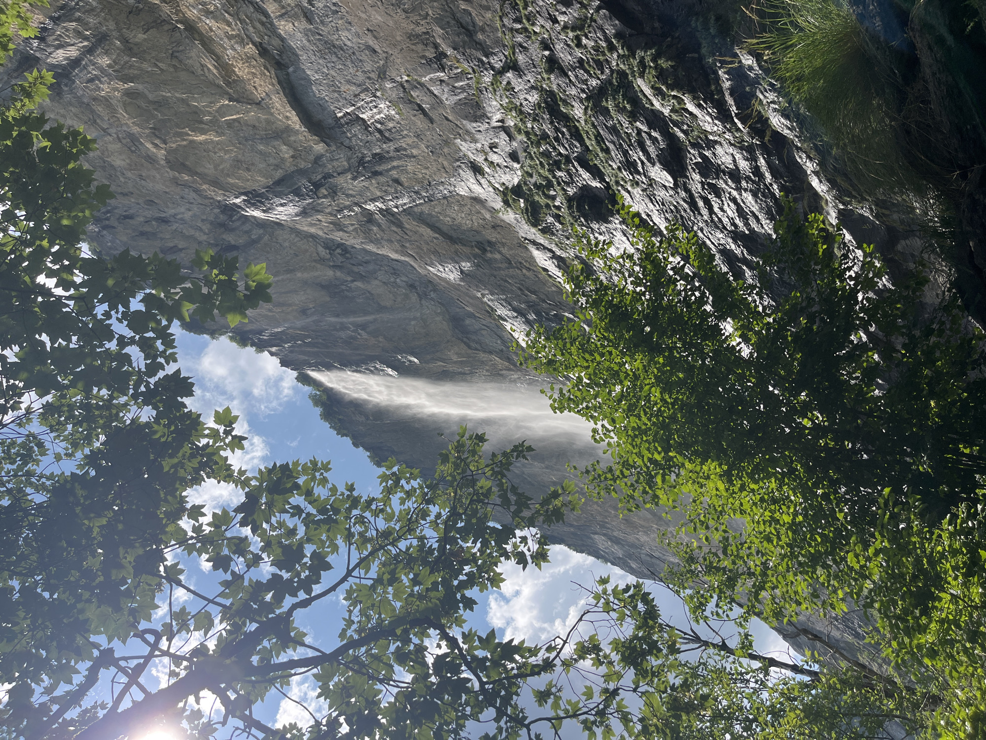 The image depicts the Staubbach Falls in Wengen, Switzerland. The waterfall cascades down a sheer, gray rock face that dominates the frame. Lush green foliage, consisting of trees with broad leaves, frames the left and bottom portions of the image. The sky above is a bright blue with scattered white clouds. Sunlight glints through the leaves on the left side, casting a lens flare. The rock face appears wet and streaked, suggesting the constant flow of water. Patches of green vegetation, likely mosses and grasses, cling to the rock in places. The perspective is looking upwards towards the top of the waterfall and cliff face.