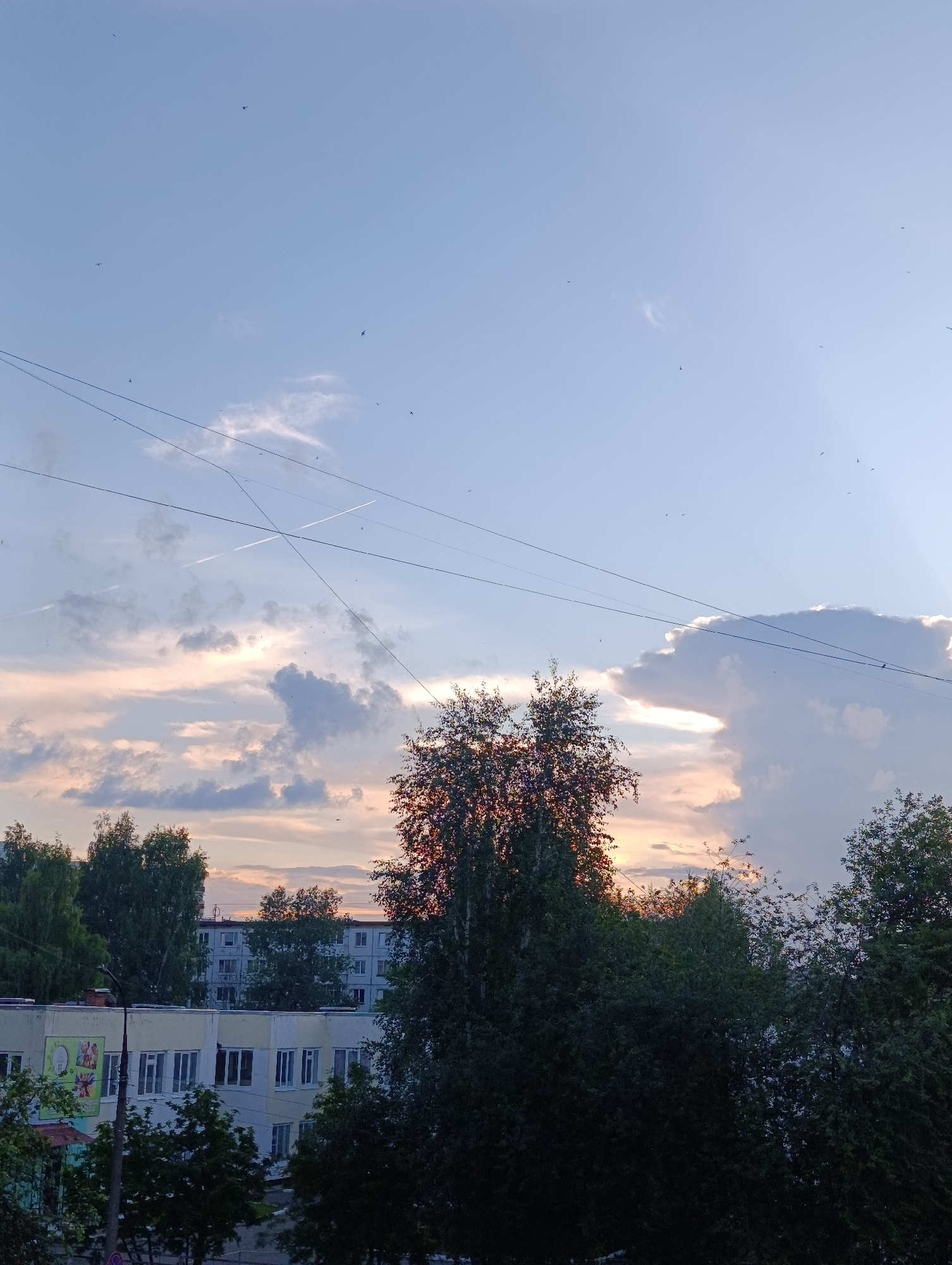 The image depicts a residential area in Chaikovsky, Russia, at dusk. The sky is a gradient of blue and pale orange, with scattered clouds and a few birds visible in flight. Power lines crisscross the upper portion of the frame. In the middle ground, tall trees with green foliage obscure a portion of the sky where the sun is setting. Behind the trees, a multi-story apartment building with light-colored walls and numerous windows is visible. In the foreground, the tops of more trees and the facade of a lighter-colored building with a mural on its side can be seen. The overall scene suggests a calm evening in a city environment.
