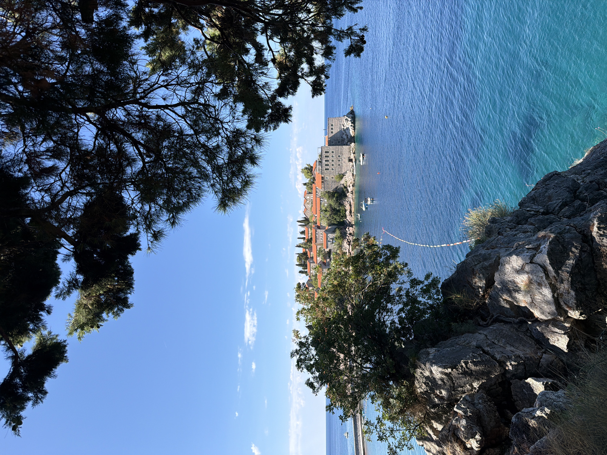 The image, taken from a high vantage point, captures a breathtaking panoramic view of the island town of Sveti Stefan in Montenegro. In the foreground, a rocky cliff face, covered with sparse vegetation, dominates the lower left portion of the frame. A lush green tree grows from the top of the cliff, its branches extending towards the sea. The middle ground features the iconic Sveti Stefan island, a cluster of stone buildings with red-tiled roofs, connected to the mainland by a narrow causeway. Several boats are anchored in the crystal-clear turquoise waters surrounding the island. The background is a vast expanse of deep blue sea meeting a bright blue sky dotted with a few wispy white clouds. The scene is illuminated by bright sunlight, casting shadows and highlighting the vibrant colors of the landscape.