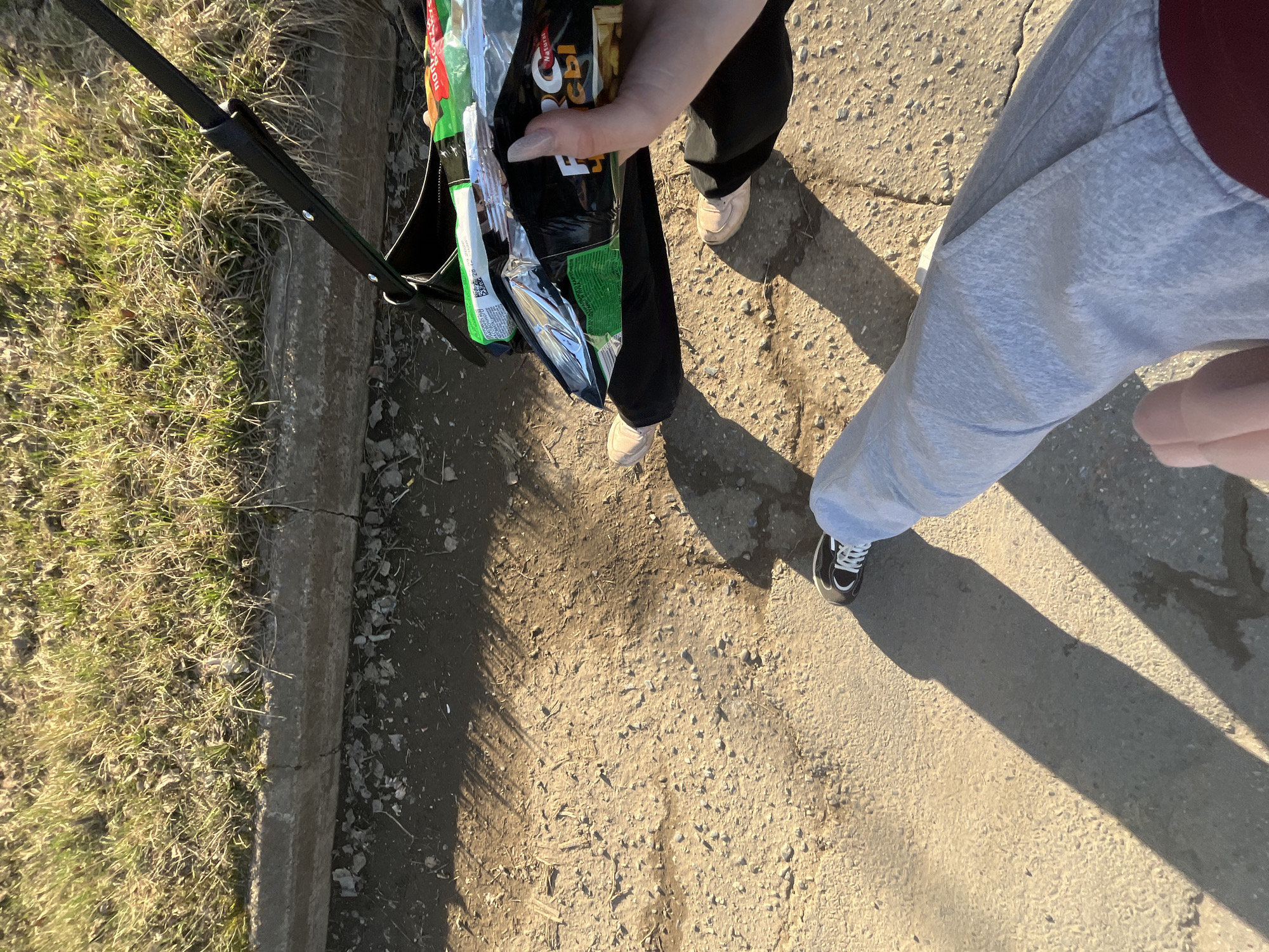 The image depicts an outdoor scene on what appears to be a paved area. Two individuals are present, though only partially visible. One person is wearing black pants and light-colored shoes, with their hand visible inside a black bag filled with various items, including food products like chips, and possibly cleaning supplies or personal hygiene products. The other person is wearing gray sweatpants and black-and-white sneakers.
The setting includes a concrete curb with grass and vegetation growing adjacent to it. The ground is predominantly a light-colored paved surface, possibly a sidewalk or road.
Based on the prompt, the location is in the city of Сосново, Russia, although this cannot be visually confirmed from the image itself.