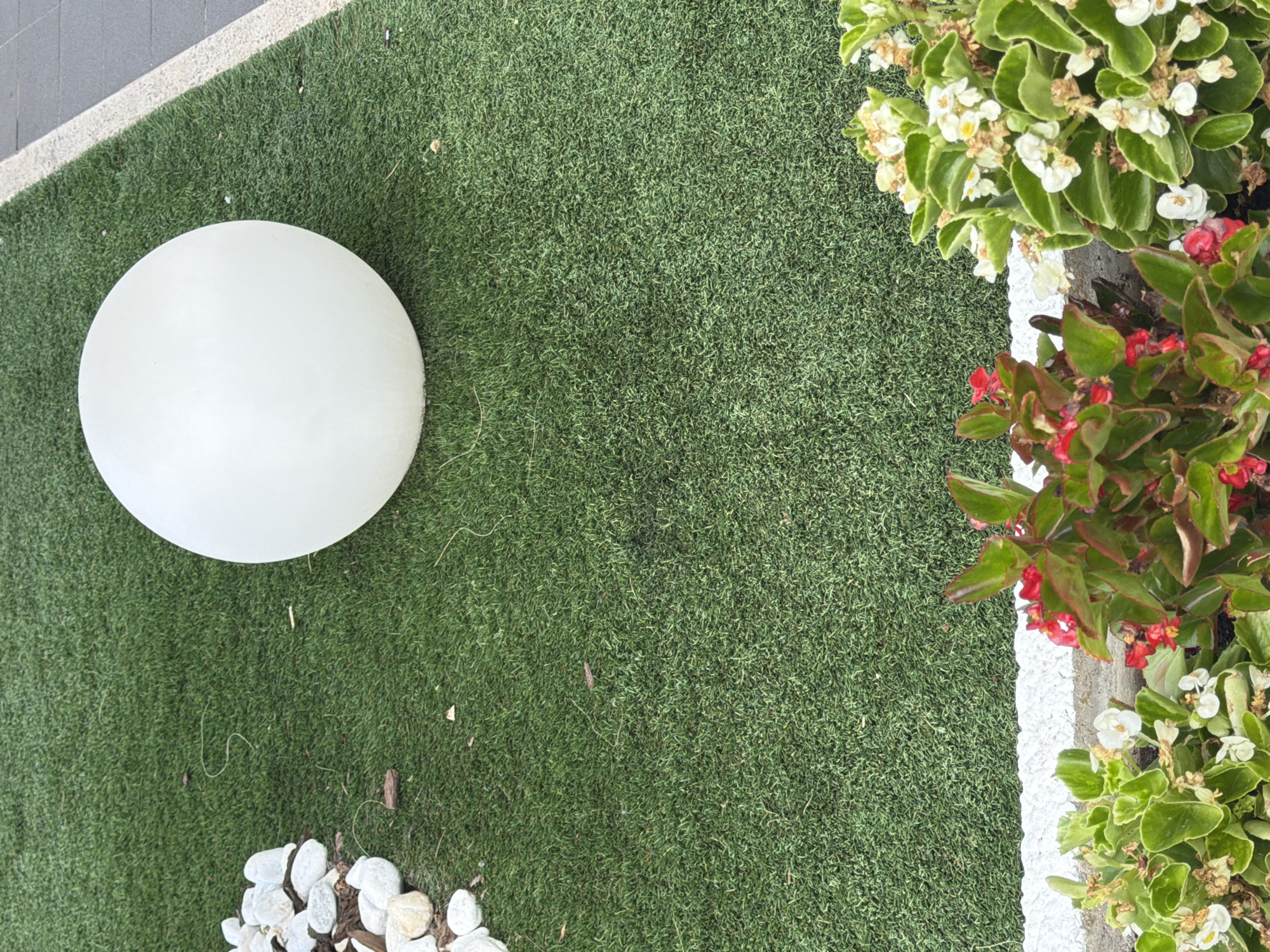 A white, spherical outdoor lamp rests on artificial turf. To the left of the lamp, a cluster of white stones is arranged on the turf. In the lower portion of the image, a line of white paint separates the turf from a concrete border. Beyond the concrete border, flowering plants with red and white blossoms are visible. The scene appears to be an outdoor area, possibly a garden or public space, in Acquasparta, Italy. No people are present in the image.