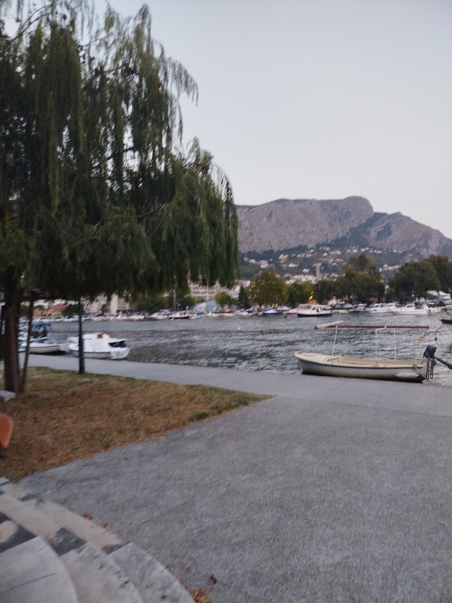 A tranquil waterside scene captures the Omiš, Croatia coastline at dusk. A paved walkway curves along the edge of a calm body of water, where several small boats are docked. A prominent weeping willow tree with cascading branches dominates the left side of the frame, its leaves a deep green against the muted sky. Beyond the trees and boats, the town of Omiš unfolds with buildings clustered along a hillside, leading up to a rugged, imposing mountain that forms the backdrop. The sky is a pale, overcast grey, suggesting the transition from day to night. The overall impression is one of serene natural beauty and a peaceful coastal settlement.
