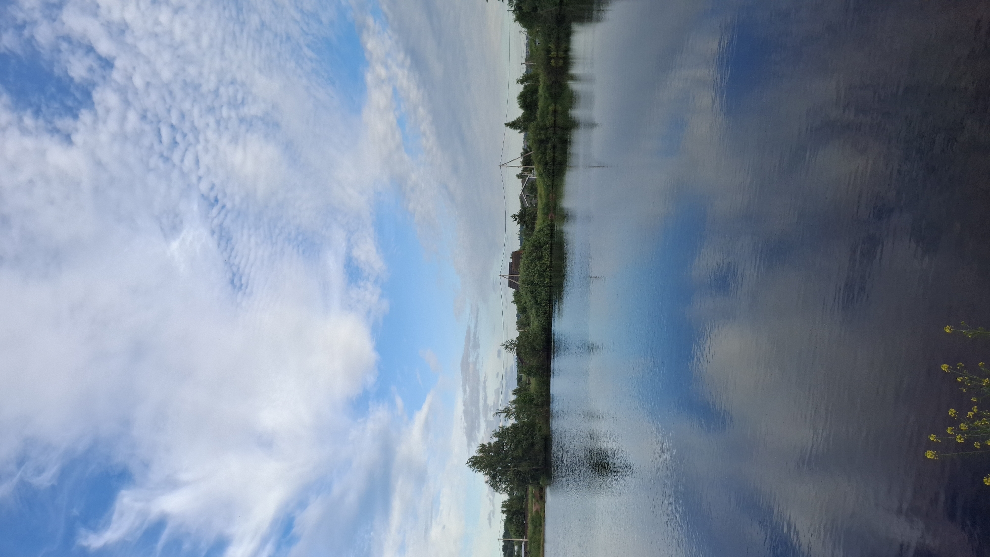 The media file depicts a rural landscape scene with a body of water in the foreground and a sky filled with clouds in the background. The image is oriented vertically.
The water is calm and reflects the sky and the vegetation along the bank. The shore on the left side of the image is lined with lush green trees and bushes. Small structures, possibly houses or sheds, are visible nestled amongst the trees. Power lines and poles are also present, indicating the presence of human settlement. The water surface shows ripples, suggesting a gentle breeze.
The sky is a bright blue, with scattered white clouds that range from wispy, cirrus-like formations to larger, cumulus clouds. The clouds are well-defined and cast soft shadows on the water's surface through reflection.
The overall scene suggests a peaceful, natural setting in a rural area. The bright blue sky and fluffy clouds indicate fair weather, likely during daytime. The presence of trees, water, and simple dwellings points to a location that is not heavily urbanized. The reflection in the water adds depth and visual interest to the composition.
There is no text visible in the image. The time of day appears to be late morning or early afternoon, given the brightness of the sky and the shadows. The emotion conveyed is one of tranquility and natural beauty. The location context provided is Innolovo, Russia, which aligns with the visual cues of a temperate, possibly Northern European, rural landscape.