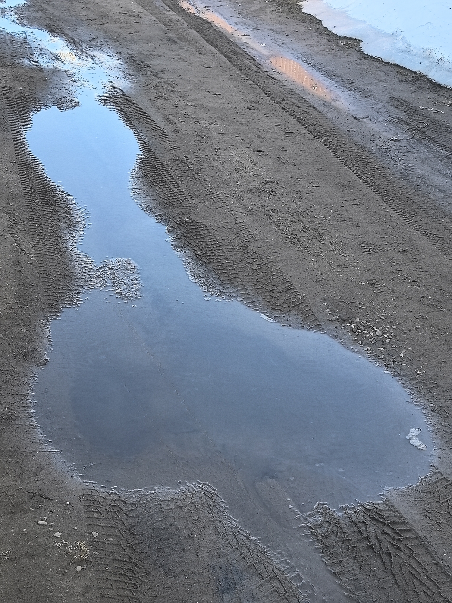 The image shows a dirt road in Noviy, Russia. The road has tire tracks and a large puddle of water in the center. The puddle reflects the sky and nearby buildings. The surrounding area appears muddy and unpaved. There are no people or other subjects visible.