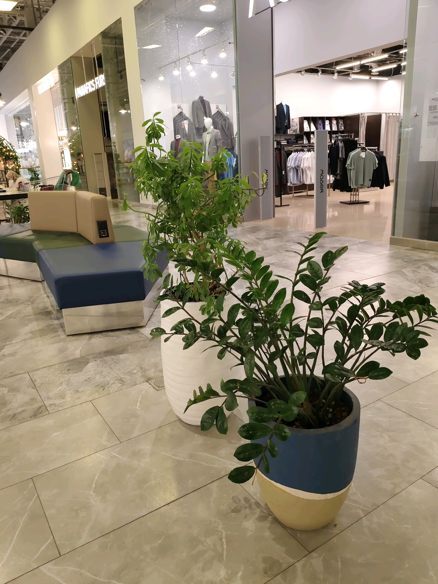 The image depicts a modern shopping mall interior, likely in Rostov-on-Don, Russia, given the clothing store's signage "MODER," which is a Russian brand. In the foreground, two potted plants are visible on a light-colored marble-tiled floor. The plant on the right is a Zamioculcas zamiifolia in a blue and yellow pot. To the left, a modular sofa with a beige and dark blue upholstery is situated near a store entrance. The background reveals storefronts with glass facades displaying clothing racks and mannequins, suggesting a fashion retail environment. The lighting is typical of indoor commercial spaces, with overhead fixtures illuminating the scene. No individuals are prominently featured or interacting in the image.