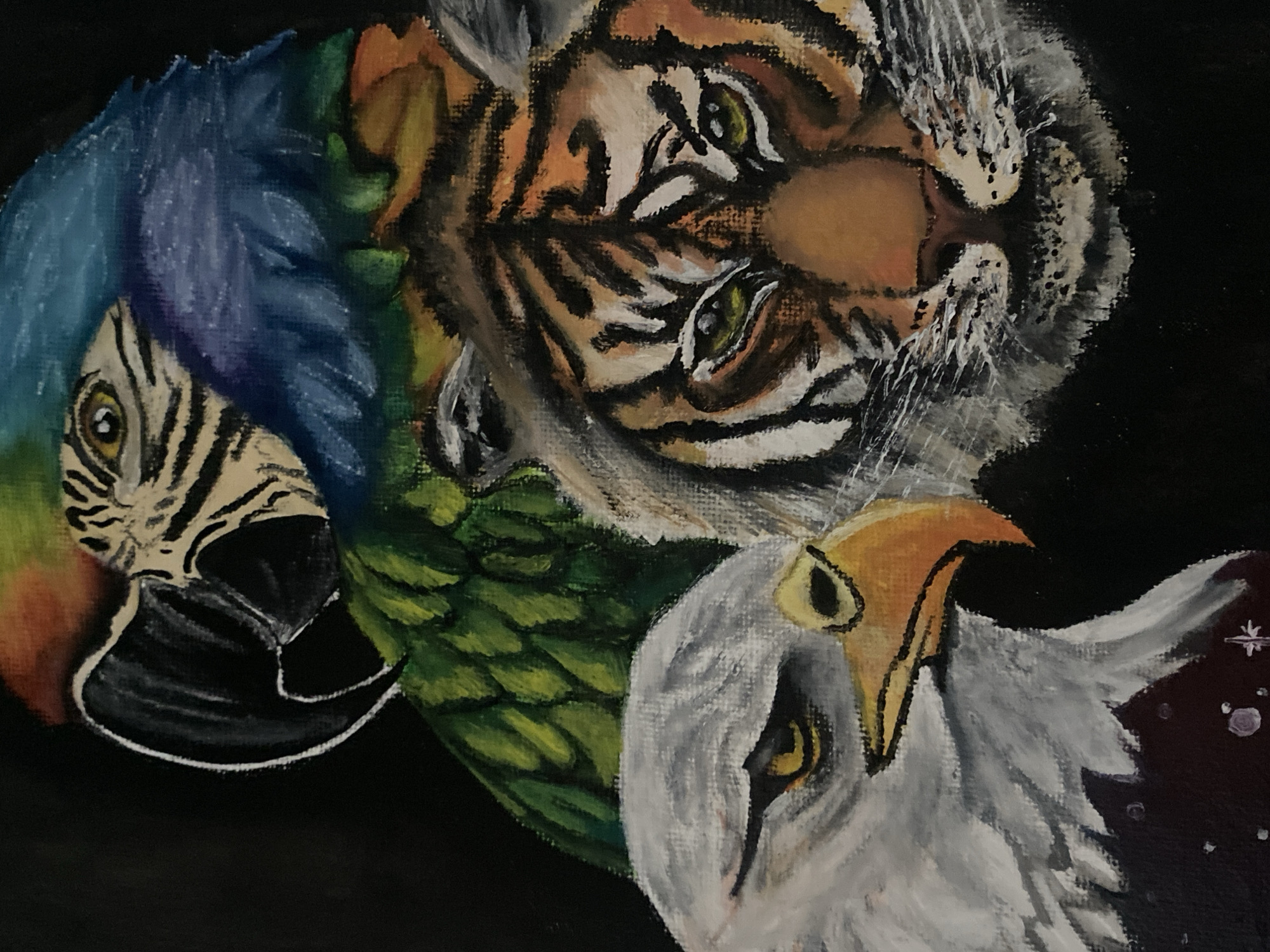 The image is a painting depicting three animals in a collage-like composition against a dark background. A parrot is on the left, with blue and yellow plumage. Above it is a tiger, its orange and black stripes visible. Below the tiger and partially overlapping the parrot is an eagle with white feathers and a yellow beak. There is a dark background. The location of the image, in the city of Tinaquillo, Venezuela, is likely irrelevant to the content of the image itself.