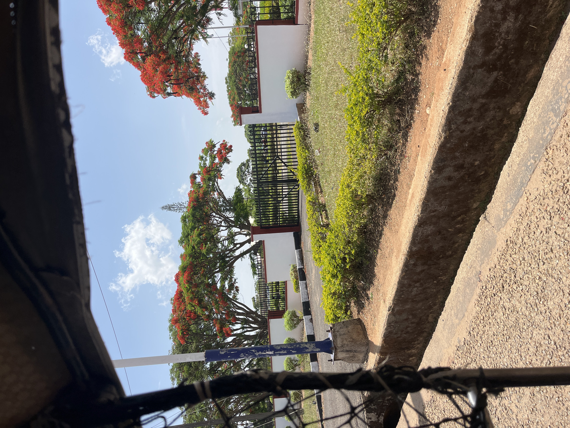 View from a roadside in Jos, Nigeria. Tall trees with red flowers are partially visible in the upper portion of the frame. A white wall with a black metal gate sits behind the trees. A green, well-maintained hedge runs along the side of the road. The road surface is a light brown color. In the lower portion of the frame, a rusted metal fence obscures the view. A drain runs along the edge of the road. The sky is light blue with scattered white clouds.