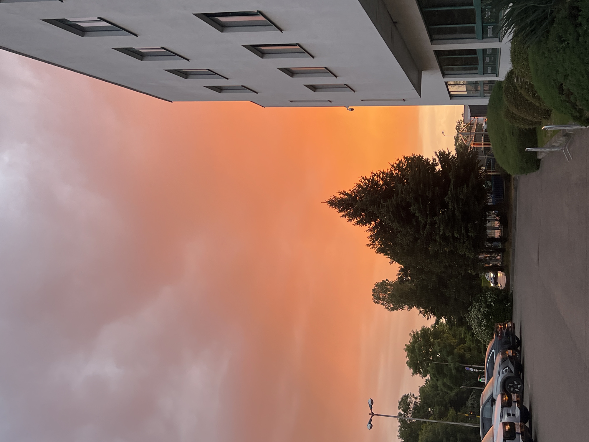 The image depicts an outdoor scene at sunset in Sofia, Bulgaria. The sky is a gradient of orange and pink hues. A modern building with a flat roof and rectangular windows is visible on the left. Trees are scattered throughout the middle ground. A row of parked cars lines the right side of a paved road. Streetlights are present. A hedge sits between the building and road.