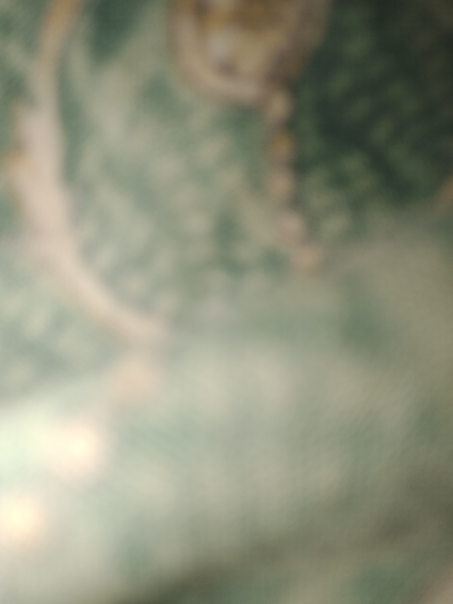 The image is an out-of-focus photograph that appears to be taken indoors, possibly in a home setting. The dominant colors are muted greens, beige, and some lighter, possibly yellowish, areas. There is a suggestion of a patterned surface, perhaps a fabric or wallpaper, with a repeating motif. A curved, lighter-colored object is visible on the left side of the image, extending from the top towards the center. The overall impression is one of a casual, indoor environment, but without clear details due to the blurriness. There is no discernible information within this image to suggest its location in Santa Ana, Venezuela.