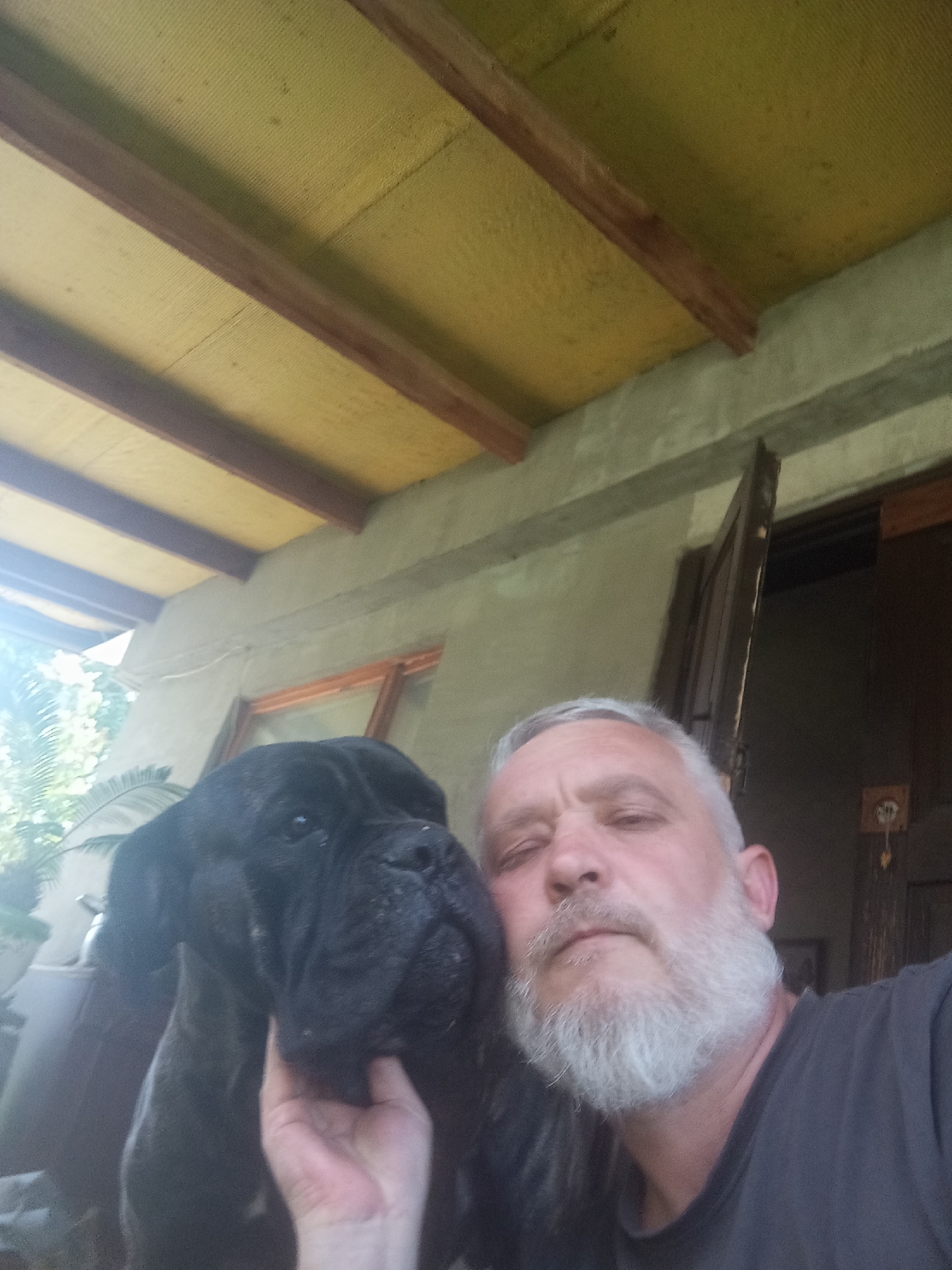 A man and a large black dog are in the foreground of the image, with the man's face on the right and the dog's head on the left. The man has graying hair and a beard. He is wearing a dark t-shirt. A hand is visible petting the dog's chin. The background shows a building with a concrete wall and a wooden door. There is also a thatched-like roof structure overhead with wooden beams. The setting appears to be an outdoor area, possibly a patio or porch, with greenery visible in the distance. The image quality is somewhat grainy and has a slight glare from sunlight on the left side.