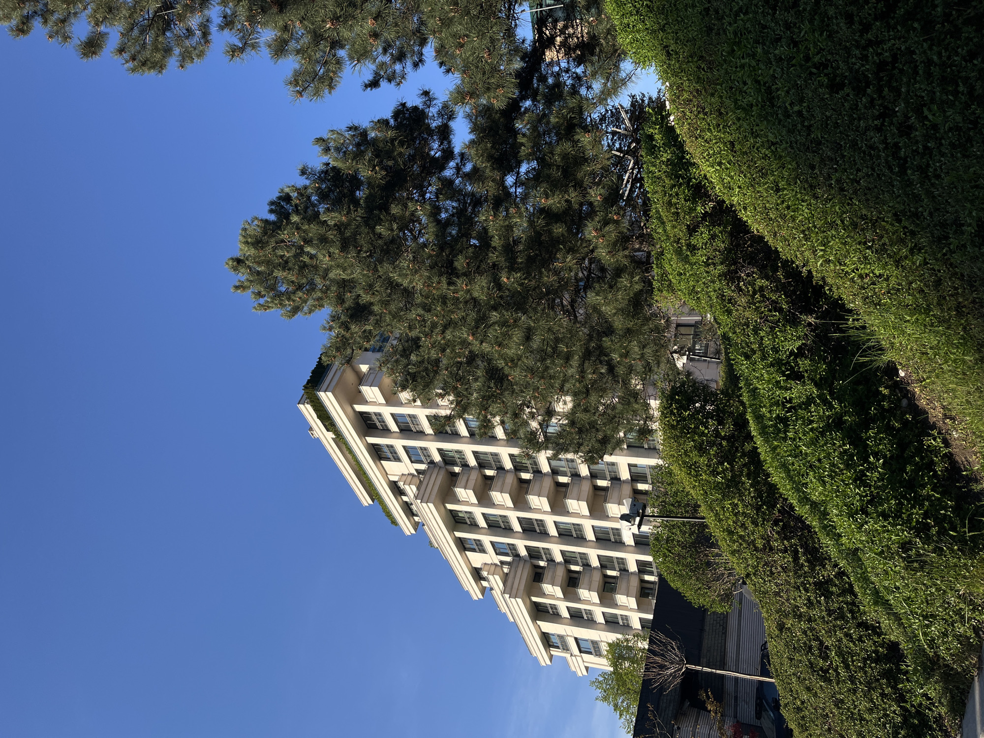 The image displays a sunlit urban landscape in Sofia, Bulgaria, featuring a multi-story building, lush greenery, and a clear blue sky.
The primary subject is a tall, light-colored building, likely an apartment or office block, dominating the left side of the frame. It exhibits a structured facade with numerous windows, balconies, and distinctive horizontal architectural elements. Greenery is visible on some of its upper terraces.
A large, dense evergreen tree, possibly a pine, stands prominently in the mid-ground, its foliage and pine cones partially obscuring the upper section of the building. To the right, a thick, well-maintained green hedge forms a natural boundary, tapering towards the foreground. Another line of bushes is visible behind it. A dark street lamp is positioned between the building and the hedges. In the lower right, additional ground-level greenery, grass, and a dark structure, possibly a roof or another building, can be seen.
The sky is a vivid, cloudless blue, indicating bright and clear weather conditions. The strong, natural illumination suggests it is daytime, likely morning or afternoon. The scene conveys a sense of calm and order in a well-maintained urban or suburban environment. There are no people or specific activities taking place, and no visible text is present in the image.