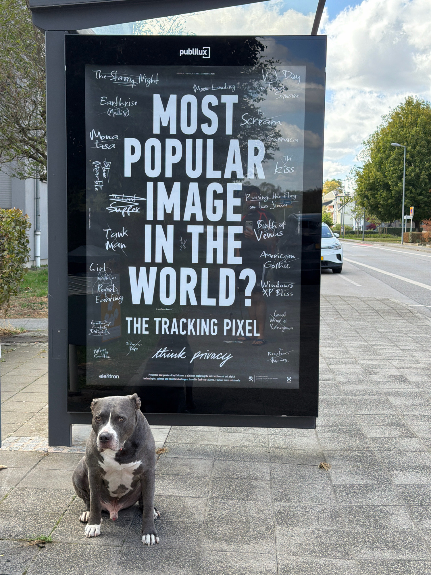 The image shows a large black poster on a bus stop shelter in Esch-sur-Alzette, Luxembourg. The poster has the title "MOST POPULAR IMAGE IN THE WORLD?" written in large white letters, with a list of famous images such as "The Starry Night," "Mona Lisa," and "The Scream" written in smaller text. Below the title, it says "THE TRACKING PIXEL" and "think privacy." A grey and white pit bull dog is sitting on the sidewalk in front of the poster. In the background, there is a street with cars and trees. The sky is cloudy. The poster is presented and produced by "elektron," a platform exploring the intersections of art, digital technologies, science, and societal challenges, based in Esch-sur-Alzette.