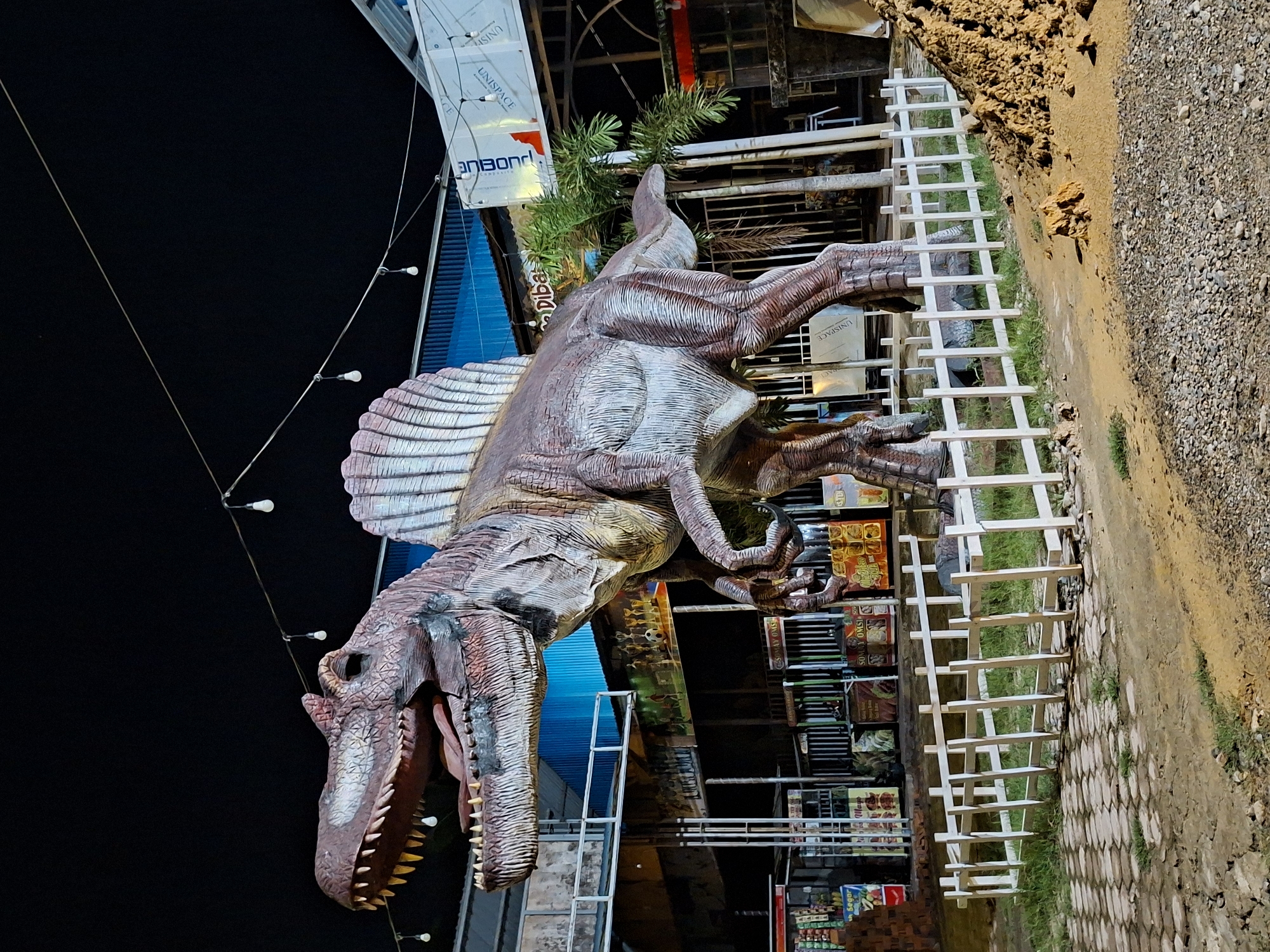 An eye-level, medium shot depicts a large, brown Spinosaurus statue in Lhokseumawe, Indonesia. The dinosaur has a large, ridged sail on its back. The dinosaur's mouth is open, displaying a row of sharp, yellow teeth. The background features a dark night sky and the statue is illuminated by string lights. Behind the dinosaur, there are buildings and structures. A wooden fence stands between the dinosaur statue and a dirt/gravel path.