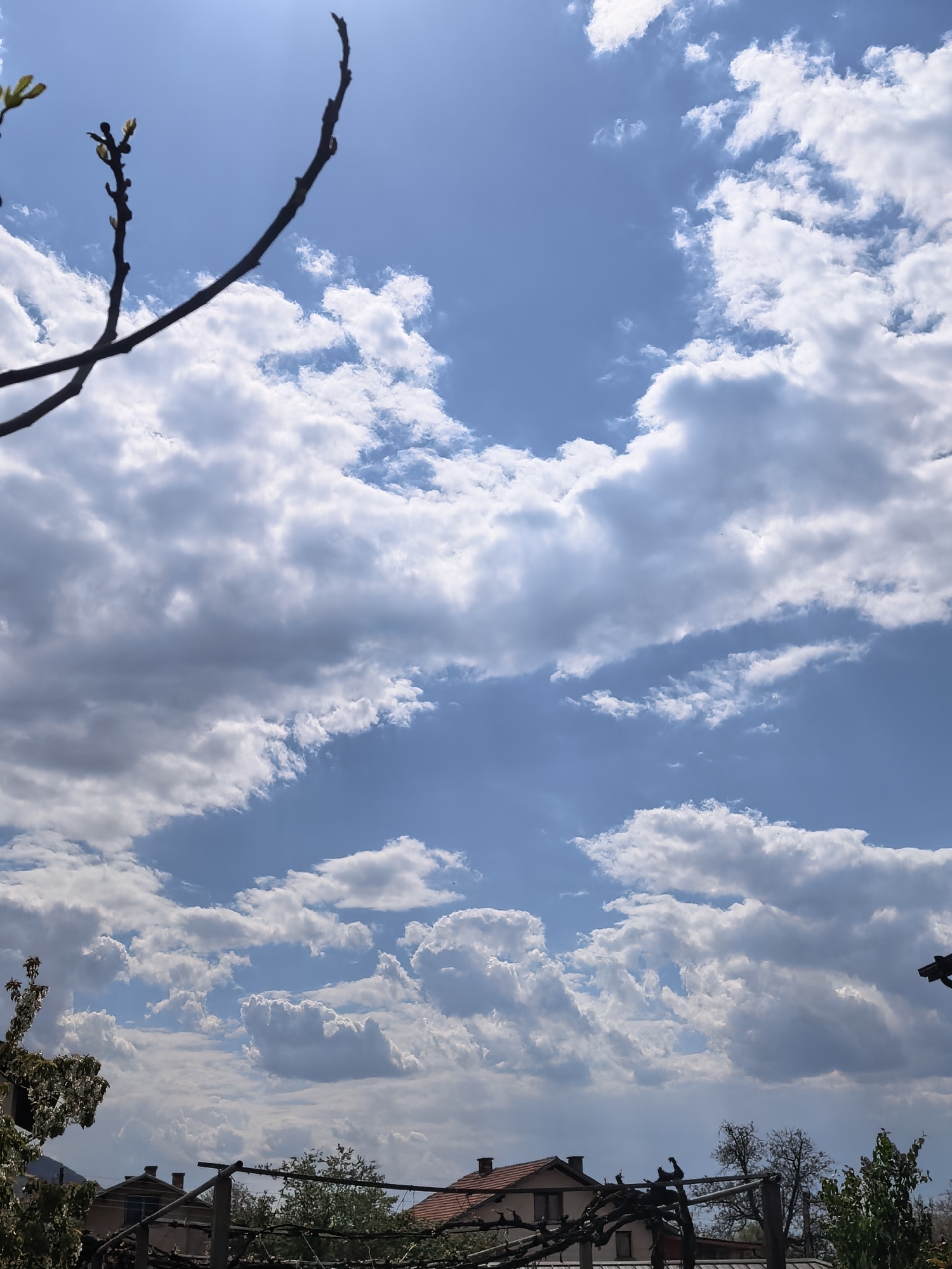 The image captures a bright, partly cloudy spring sky over a residential area in Sapareva Banya, Bulgaria, likely during the midday or early afternoon. The upper two-thirds of the frame are dominated by a clear blue sky interspersed with numerous white to light grey cumulus and stratocumulus clouds, varying in size and density. A noticeable sun flare is visible in the upper left quadrant, indicating the sun's position.
In the immediate foreground, dark, bare tree branches with emerging green buds are silhouetted against the bright sky, a strong indicator of springtime. These branches extend into the upper left and central-left portions of the image.
The lower third of the image features the roofs and upper sections of several houses. These buildings have distinct red-tiled roofs and light-colored facades, typical of residential architecture in the region. Surrounding the houses, sparse trees and bushes are visible, some still largely bare while others show signs of new foliage. A trellis-like structure, possibly for climbing plants or a vine, is also visible in the foreground, stretching horizontally across the lower middle section.
No people or specific activities are visible, and there is no discernible text. The overall scene conveys a peaceful and natural rural or semi-rural environment under a pleasant spring sky.