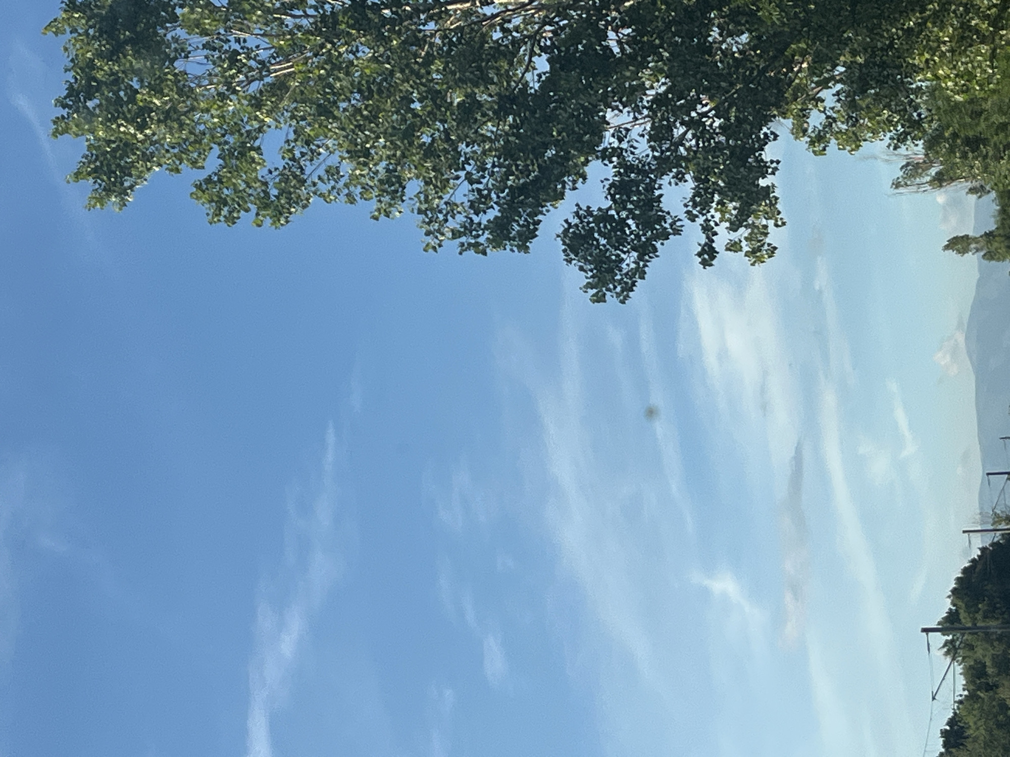 The image depicts a clear blue sky with sparse, wispy clouds. On the right side of the frame, the upper branches of a deciduous tree with abundant green foliage are visible. In the lower portion of the image, a line of trees and vegetation is present, with what appear to be power lines and poles interspersed. In the far distance, a range of mountains can be seen against the horizon. The scene is likely captured outdoors in a semi-rural or suburban setting. No people or specific actions are evident. The location is identified as Dalgo Pole, Bulgaria.