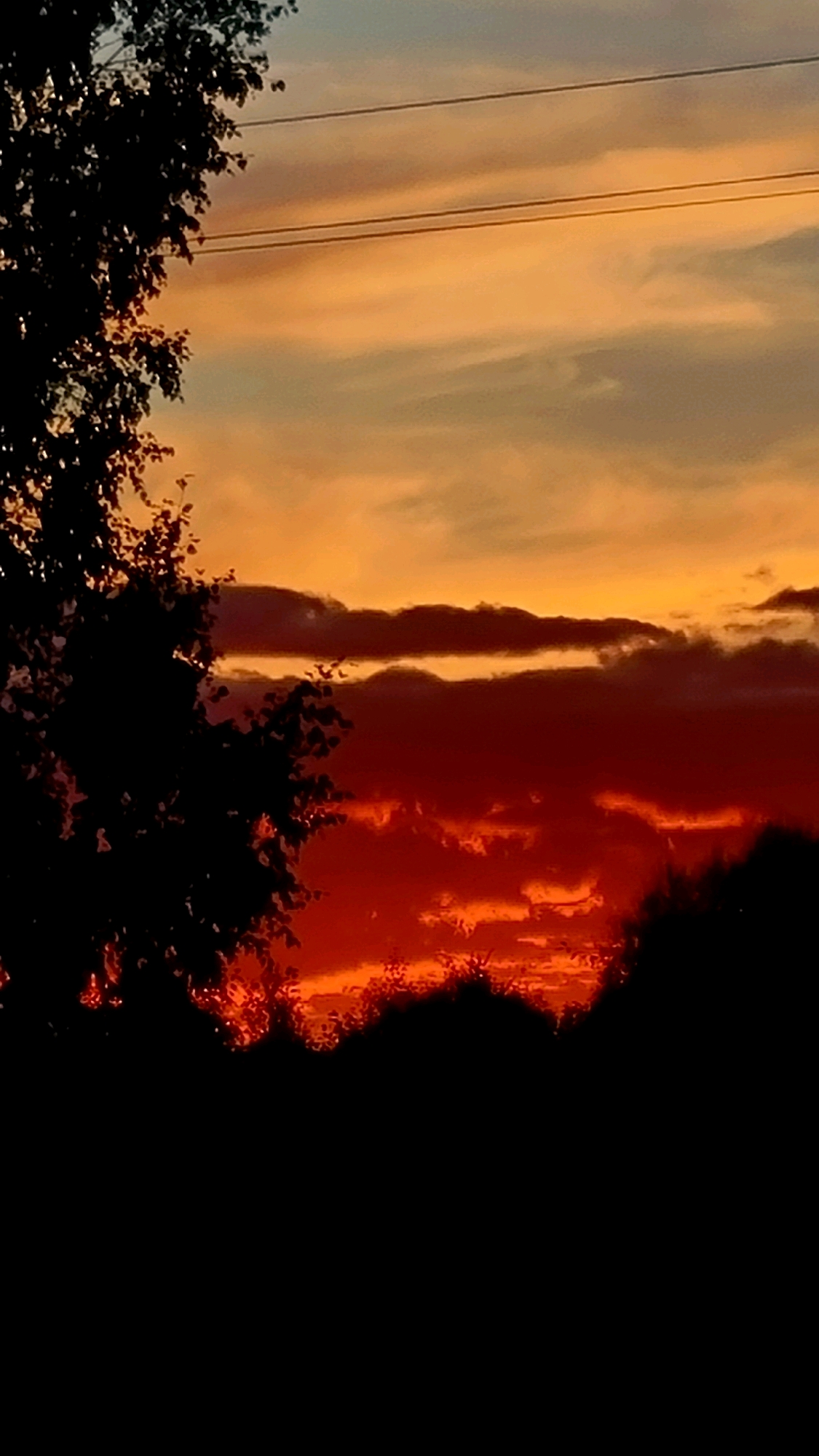 The image shows a sunset with dramatic orange and red clouds. Silhouetted trees and bushes line the bottom of the frame, obscuring the ground. Power lines are visible in the upper portion of the sky. The scene appears to be a natural landscape with some signs of human infrastructure. There are no people or animals depicted. The location is identified as Vysokoe, Russia.