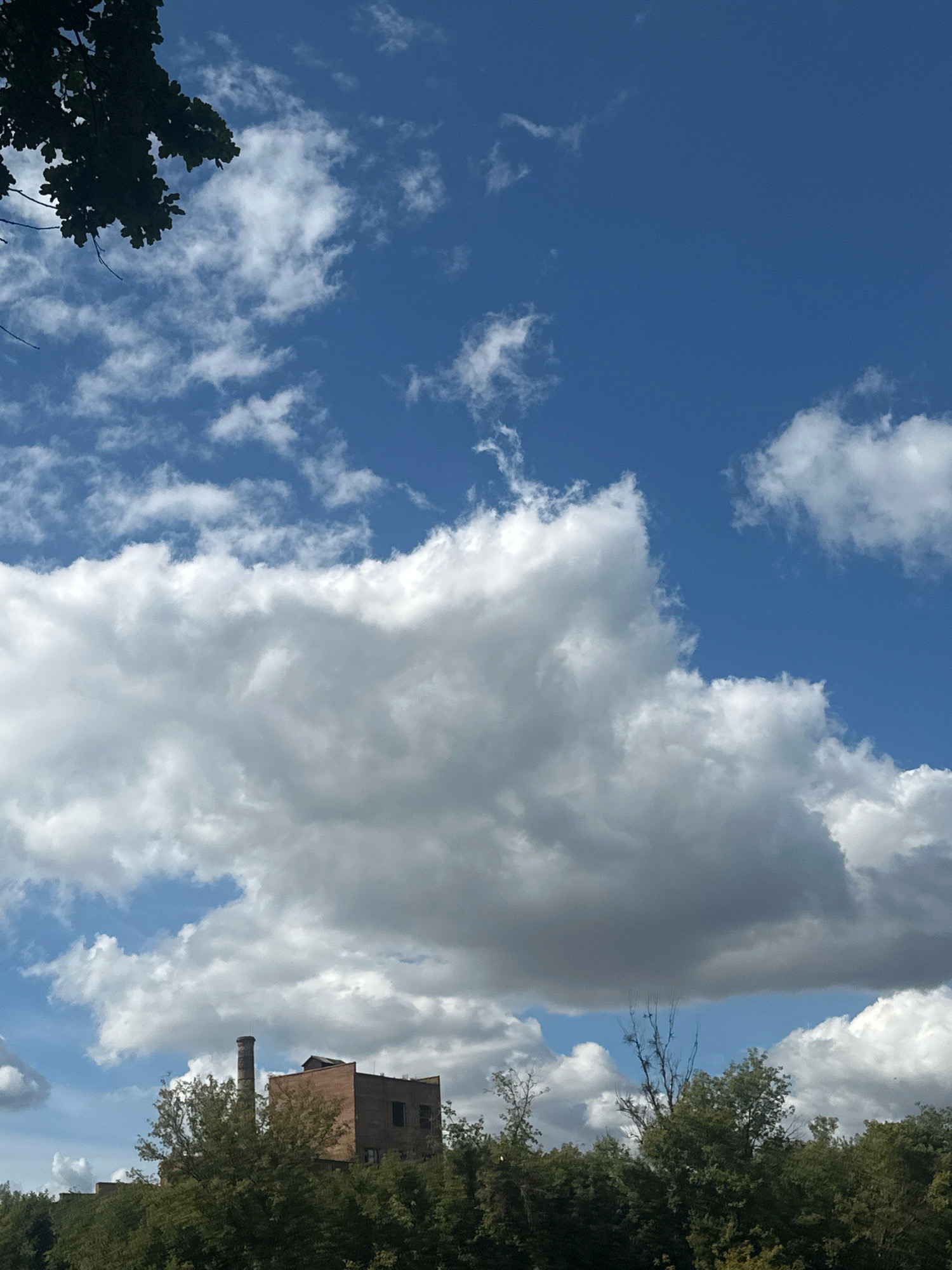 In Shatava, Ukraine, a brick building with a smokestack stands amidst a dense canopy of green trees under a vast blue sky. The sky is adorned with scattered white clouds, some appearing fluffy and others wispy, creating a dynamic and layered effect. In the upper left corner, the dark silhouette of a tree branch, with its leaves visible, intrudes into the frame, suggesting the viewpoint is from beneath or beside a tree. The building, appearing to be an older industrial structure, has a prominent smokestack rising from its roof. The scene is bathed in natural light, indicating it is daytime.