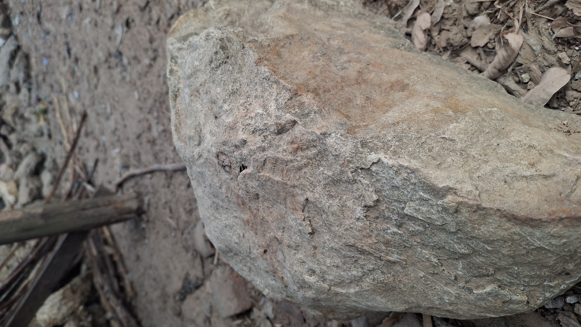 A large, rough, grey and brown rock sits prominently in the foreground of the image. The rock has a textured surface with visible pitting and cracks, and a patch of reddish-brown coloration on its right side. Behind the rock, the ground is composed of dirt, small stones, and dried leaves. In the background, a weathered wooden post stands upright, with some thin, dry branches leaning against it. The overall environment appears to be an outdoor, unpaved area, possibly a rural roadside or undeveloped land. The image does not contain any people or identifiable buildings. The scene is situated in Pucakwangi, Indonesia.