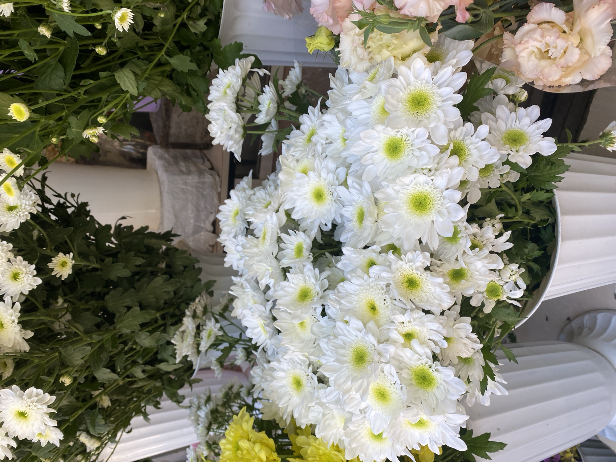 The image depicts a close-up view of several white chrysanthemum bouquets displayed in white vases. The flowers have delicate white petals and bright green centers. Some yellow flowers and pink flowers are also visible in the background. The scene appears to be set outdoors, possibly at a flower market. The image does not provide any information about the location in Chișinău, Moldova. There are no people visible in the image.
