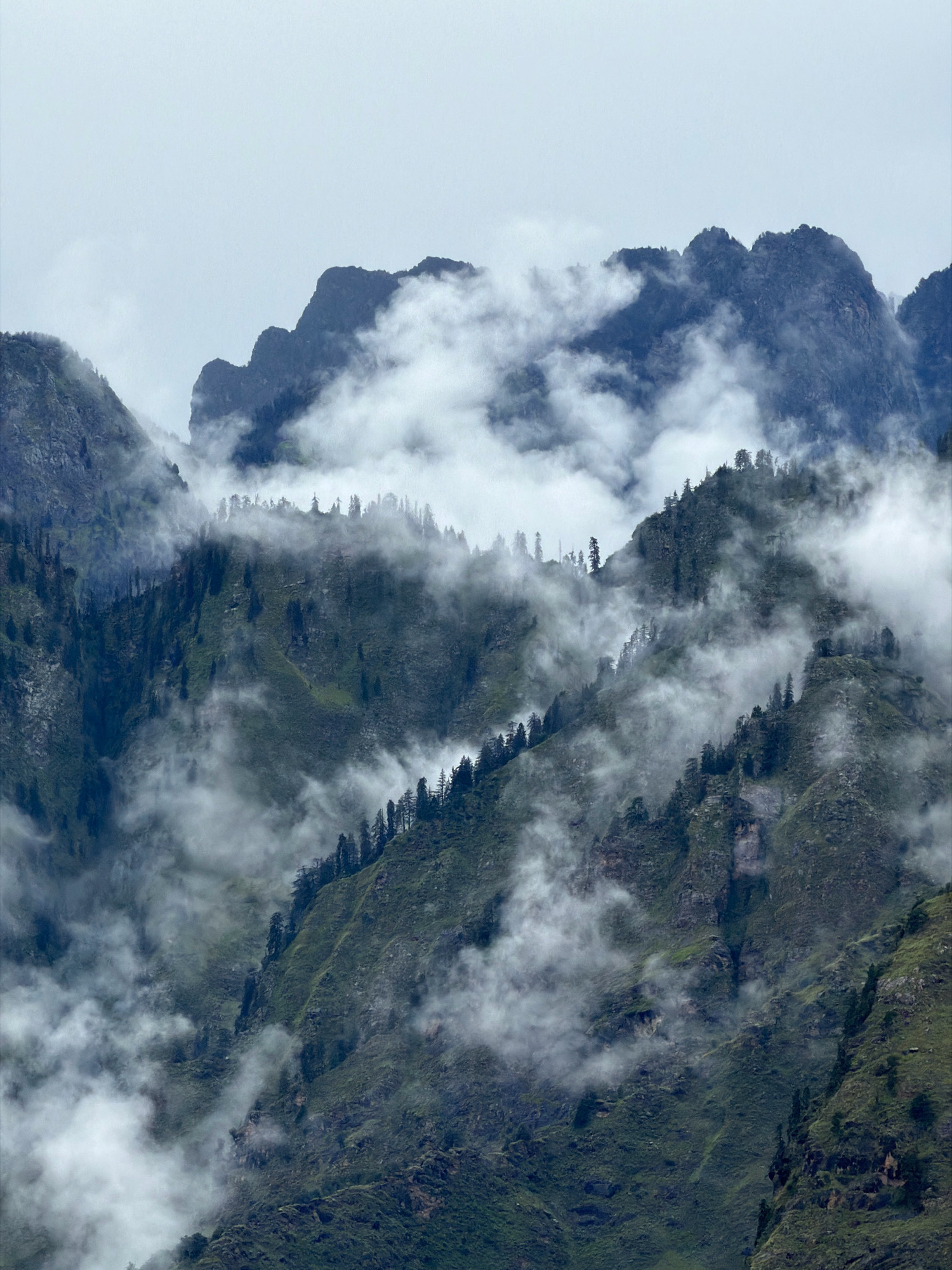 This is a vertical, medium shot photograph of rugged, mist-shrouded mountains in Kharori, India. The foreground is dominated by the steep, verdant slopes of the mountains, covered in dark green pine trees and patches of grass. Wisps of white mist are interspersed throughout the scene, obscuring parts of the mountain faces and creating a sense of depth and mystery.
The mountains themselves are characterized by their rocky, uneven surfaces and sharp peaks. In the upper portion of the image, the tops of some mountains are visible, their dark forms silhouetted against a pale, overcast sky. The overall color palette is muted, with shades of deep green, gray, and white.
There are no people or animals visible in the frame, and no specific actions or interactions are taking place. The focus is purely on the natural landscape and the atmospheric conditions. The environment appears to be a remote, mountainous region, likely an uninhabited or sparsely populated area.
