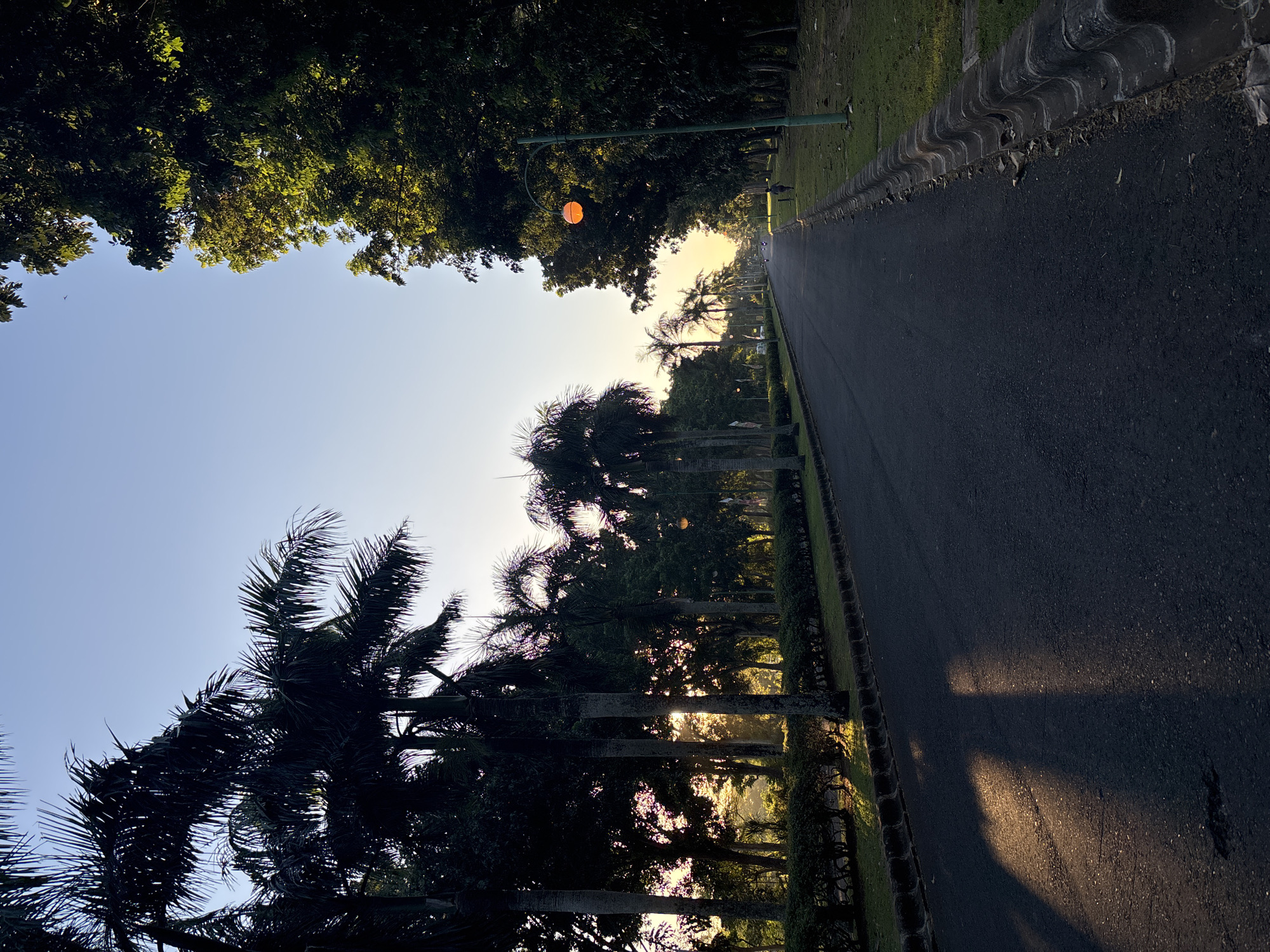 The image depicts a road lined with palm trees and other vegetation in Kuta Selatan, Indonesia. The road surface is dark asphalt. The time of day appears to be early morning or late afternoon, as indicated by the low angle of the sun and the long shadows cast on the road. The sky is blue with a hint of yellow near the horizon, suggesting the sun's position. A lamp post with a globe-shaped light fixture is visible amongst the trees. The foliage creates a dense canopy overhead. The image is oriented such that the road appears to be diagonal.