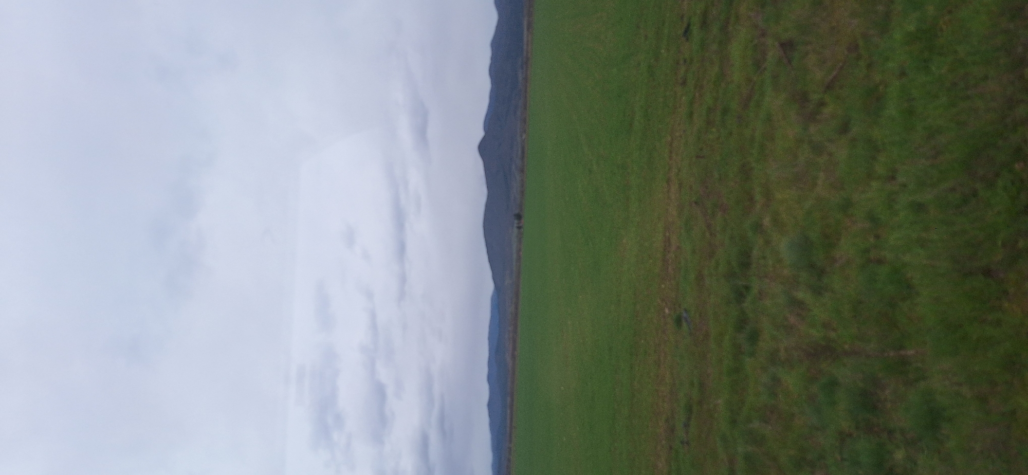 The image shows a landscape in Manolovo, Bulgaria. The scene is divided vertically, with a cloudy sky on the left and a grassy field on the right. A mountain range forms a blurred border between the sky and the field. The grass transitions in color from green to darker green as it moves towards the right. There are no people, subjects, objects, actions, or interactions clearly discernible in the image beyond the natural elements.