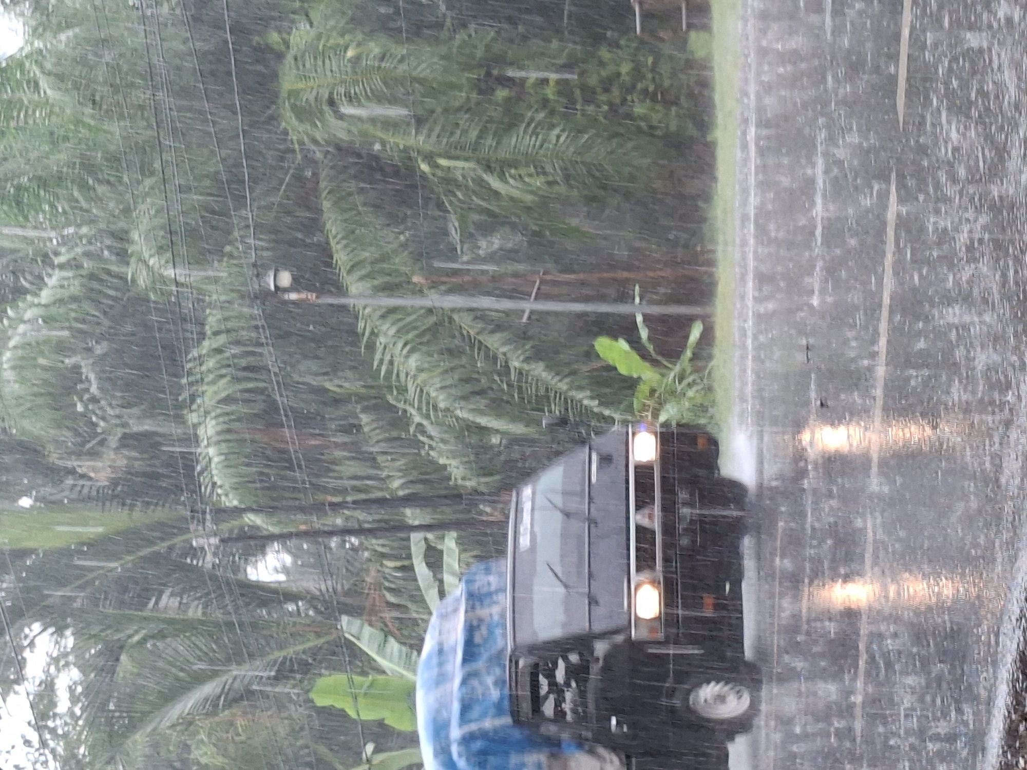 The image depicts a heavy downpour in Matangpanyang, Indonesia. A dark-colored vehicle with illuminated headlights is partially visible on a rain-soaked road. Dense vegetation, including palm trees and banana plants, lines the roadside. Utility poles and wires are also visible amidst the rain and foliage. The scene suggests limited visibility due to the intense rainfall.