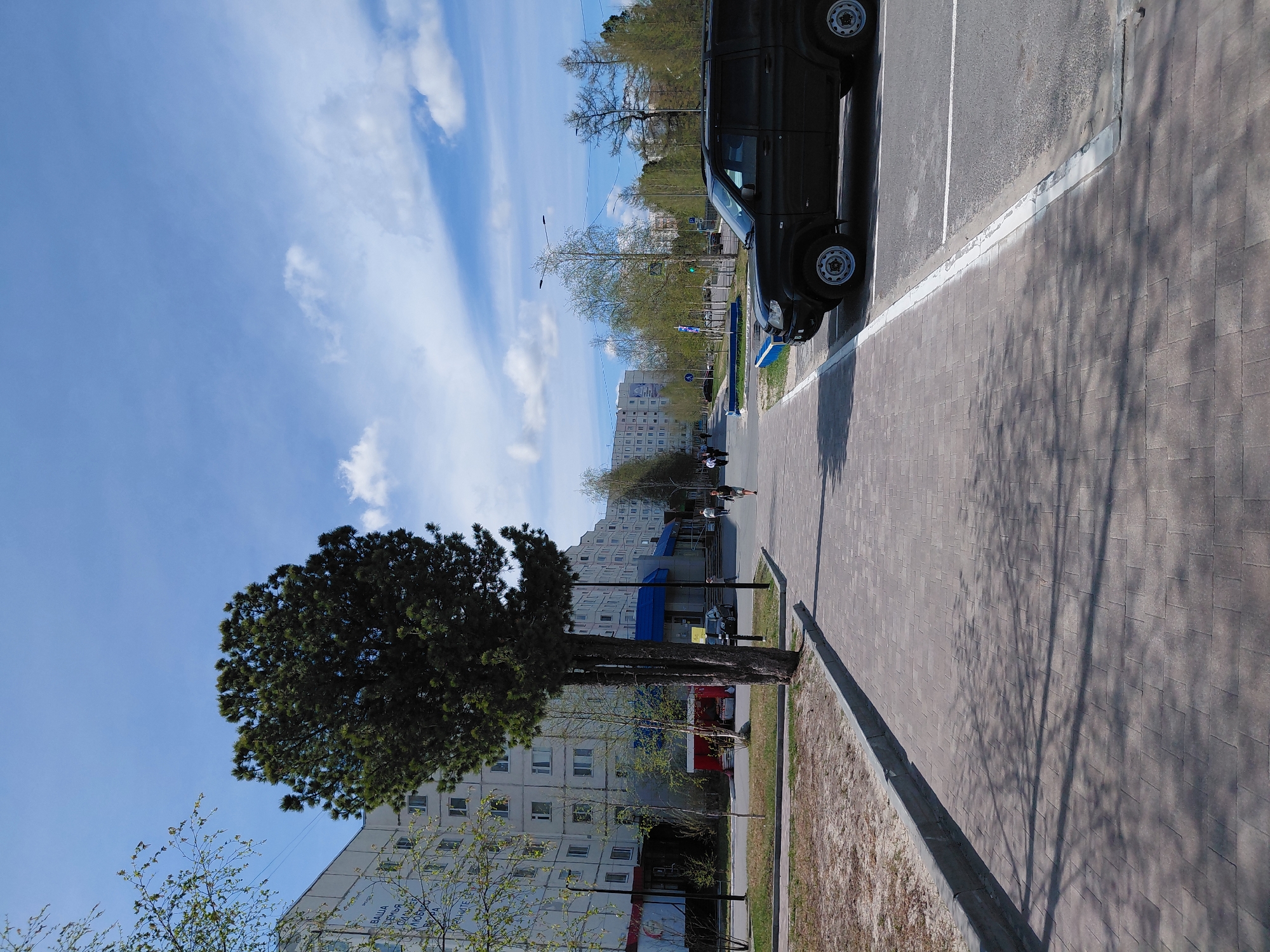 The image depicts a bright, sunny street scene in Nadym, Russia, likely during springtime. The sky is a clear blue with scattered white, wispy clouds.
In the foreground and to the left, a large, densely foliated tree stands prominently. Behind it, several multi-story apartment buildings with light-colored facades are visible. One building closer to the viewer has a blue awning over an entrance. On the side of this building, partially obscured by smaller trees, Cyrillic text is visible, reading "ВАША ЧИСТАЯ ЛЮБОВЬ И ЗАБОТА" (YOUR PURE LOVE AND CARE).
A wide, paved sidewalk with brick-like patterns stretches from the foreground into the distance on the right side of the image. Long, distinct shadows of trees and possibly light poles are cast across this sidewalk, indicating strong sunlight, likely in the late morning or early afternoon. To the right of the sidewalk is a paved street with a parked dark green SUV. The SUV is facing away from the viewer. White lines on the asphalt mark parking spaces.
Further down the street, more apartment buildings line the roadside, and smaller trees, some with emerging green leaves and others still bare, are scattered along the street and between buildings. Several individuals are visible walking on the distant sidewalk, appearing small against the urban backdrop. A traffic light and street lamps can also be seen in the distance. The overall scene conveys a calm, ordinary day in a residential area.
