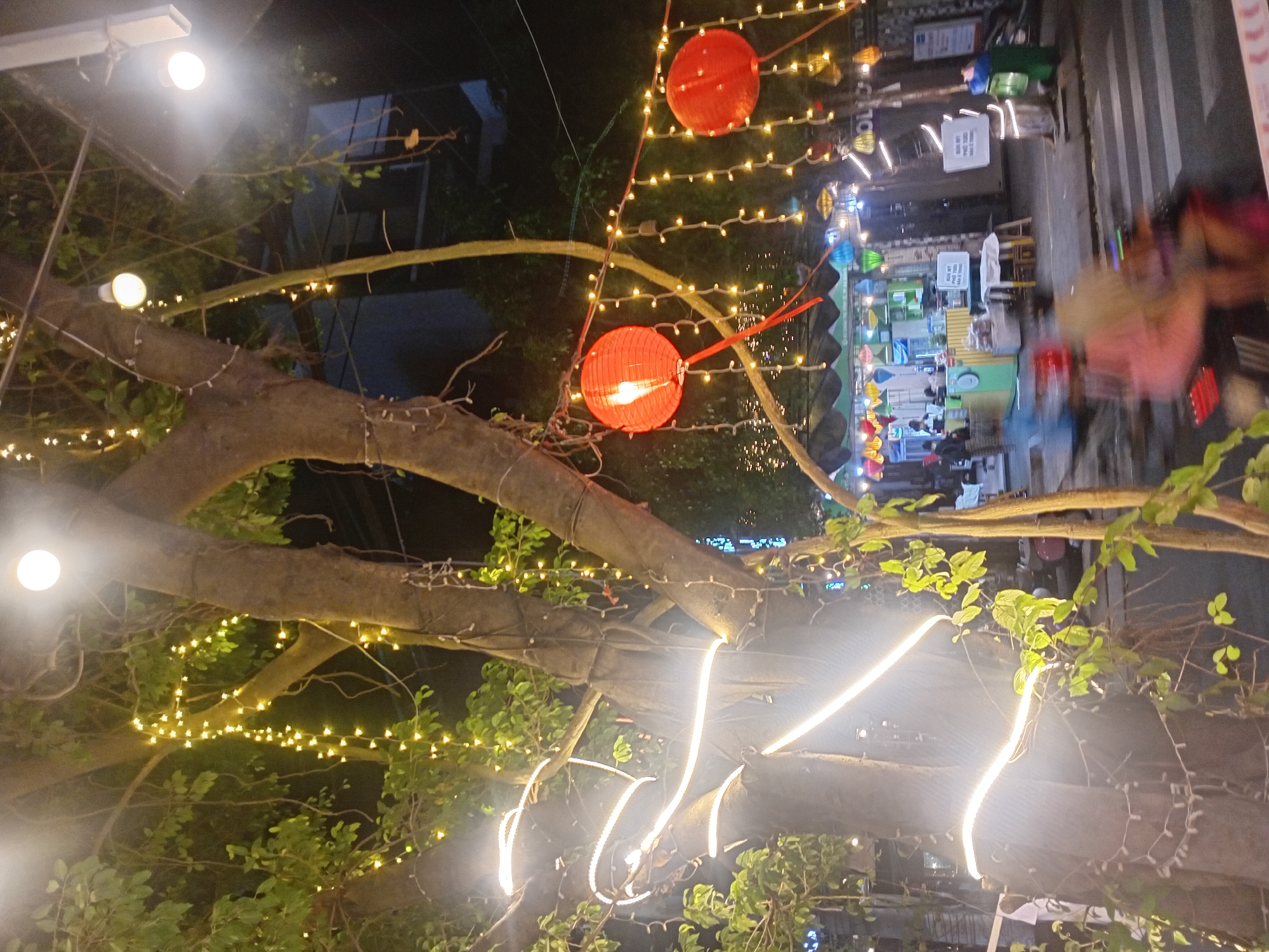 In Đà Nẵng, Vietnam, this low-angle, night-time photograph captures a tree heavily decorated with festive lights, illuminating its trunk and branches with warm, yellow glows. A prominent red lantern hangs from a branch, its light adding a vibrant splash of color. The tree stands on what appears to be a street or sidewalk, with a blurred background suggesting a bustling urban environment. In the distance, a storefront with awnings and more colorful lanterns is visible, along with people and vehicles, some of which are motion-blurred, indicating movement. The scene is characteristic of a lively street during a festive occasion or evening market in Đà Nẵng.