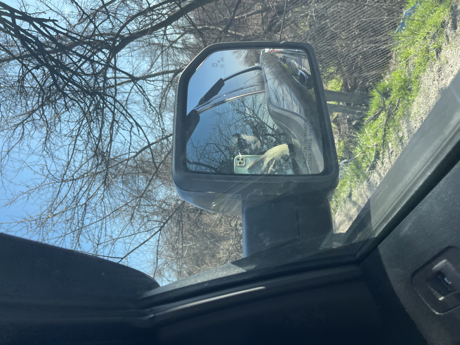 The scene is observed from inside a vehicle, looking towards the passenger-side exterior rearview mirror, located in Medovnitsa, Bulgaria. The left side of the image features the dark-colored interior door panel and window frame of the vehicle. The rectangular exterior mirror displays a reflection of an individual holding a light green smartphone, partially obscuring their face, which appears to be covered by dark eyewear. Also reflected in the mirror are portions of the vehicle's dark-colored exterior and the external environment. The mirror surface clearly shows the warning "OBJECTS IN MIRROR ARE CLOSER THAN THEY APPEAR" and a blind spot monitoring icon. Outside the vehicle, under a clear blue sky, numerous deciduous trees with bare branches are visible, suggesting a late winter or early spring season. The ground beneath the trees is covered with patches of green grass and bare earth. A chain-link fence is partially visible to the far right of the scene. The environment is brightly illuminated by natural light.