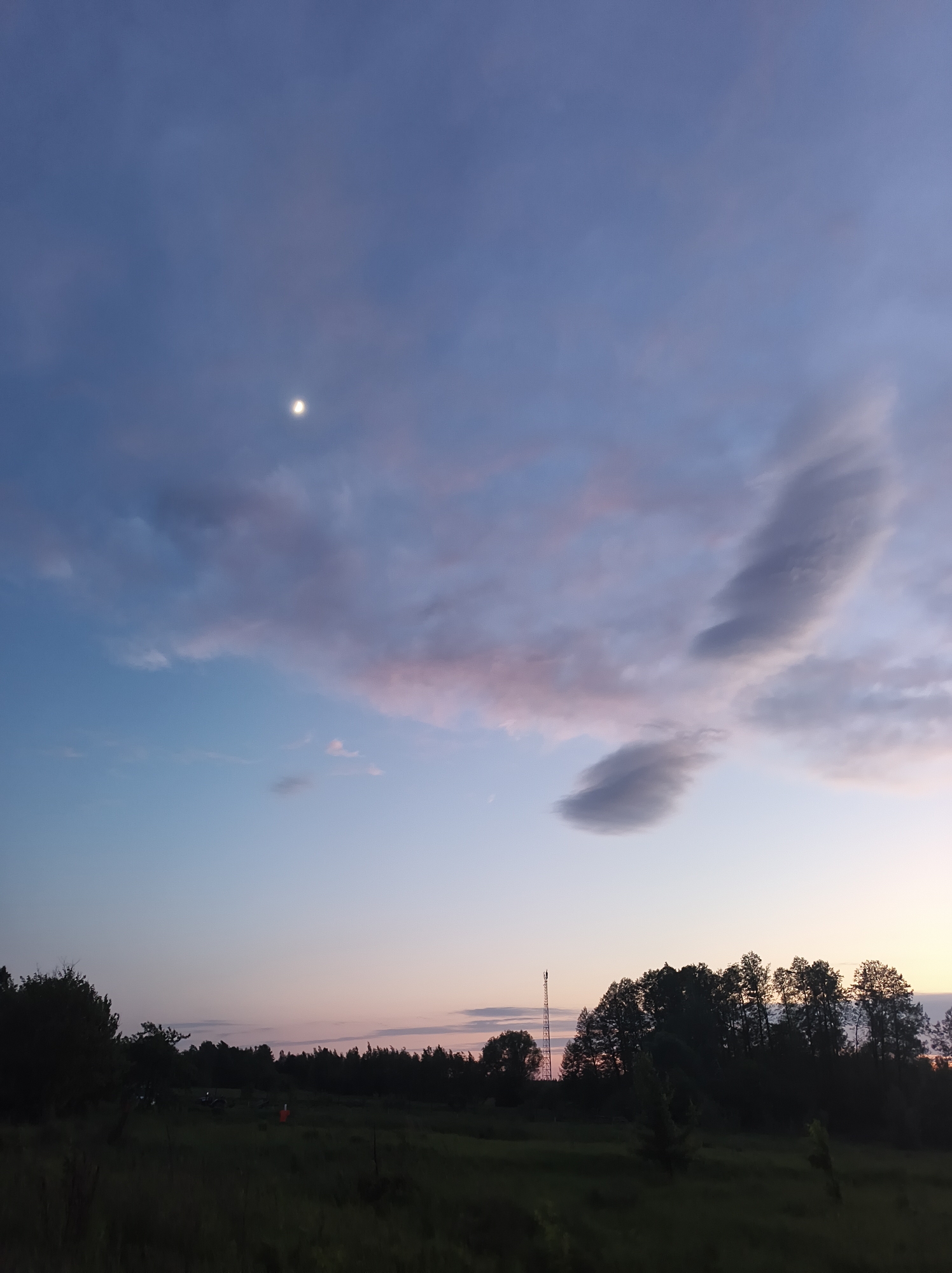The image depicts an evening landscape in Vyshevychi, Ukraine. In the foreground, a field transitions into a tree line. A communications tower rises above the trees. The sky is filled with clouds tinged with pink and purple hues, illuminated by the setting sun. A bright moon is visible in the upper left portion of the sky. The scene is generally dark due to the late hour.