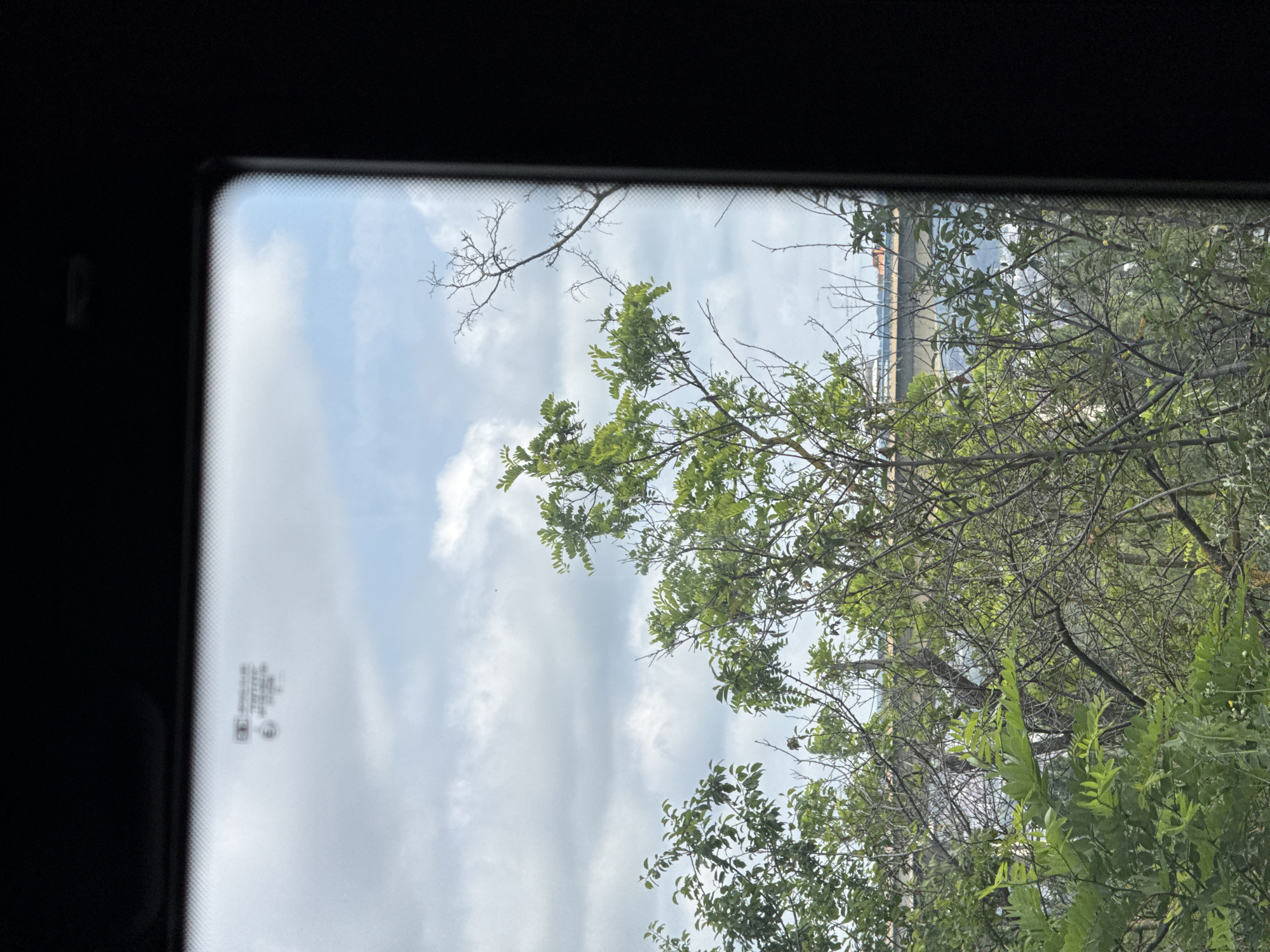 The image is a photograph taken from inside a vehicle looking out through the windshield. The foreground is dominated by the branches and leaves of green trees, with some bare branches interspersed. In the middle ground, a bridge structure is visible, spanning across a body of water, though the water itself is not clearly discernible. The background consists of a cloudy sky with patches of blue. A small, obscured sticker with some text is visible on the upper portion of the windshield. The overall scene suggests an outdoor environment, possibly in a suburban or semi-rural setting, with a clear view of a bridge and trees.